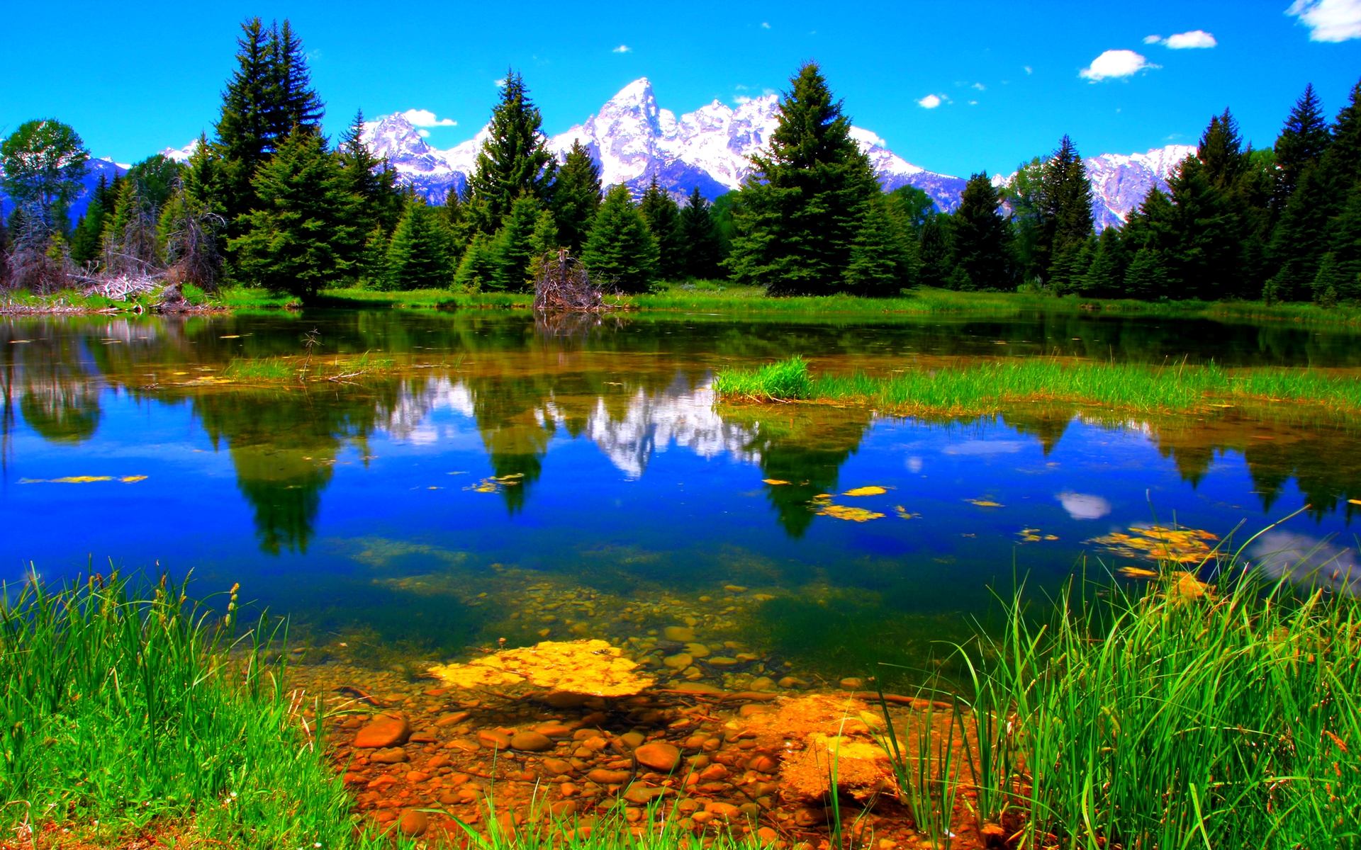 Beautiful Lake