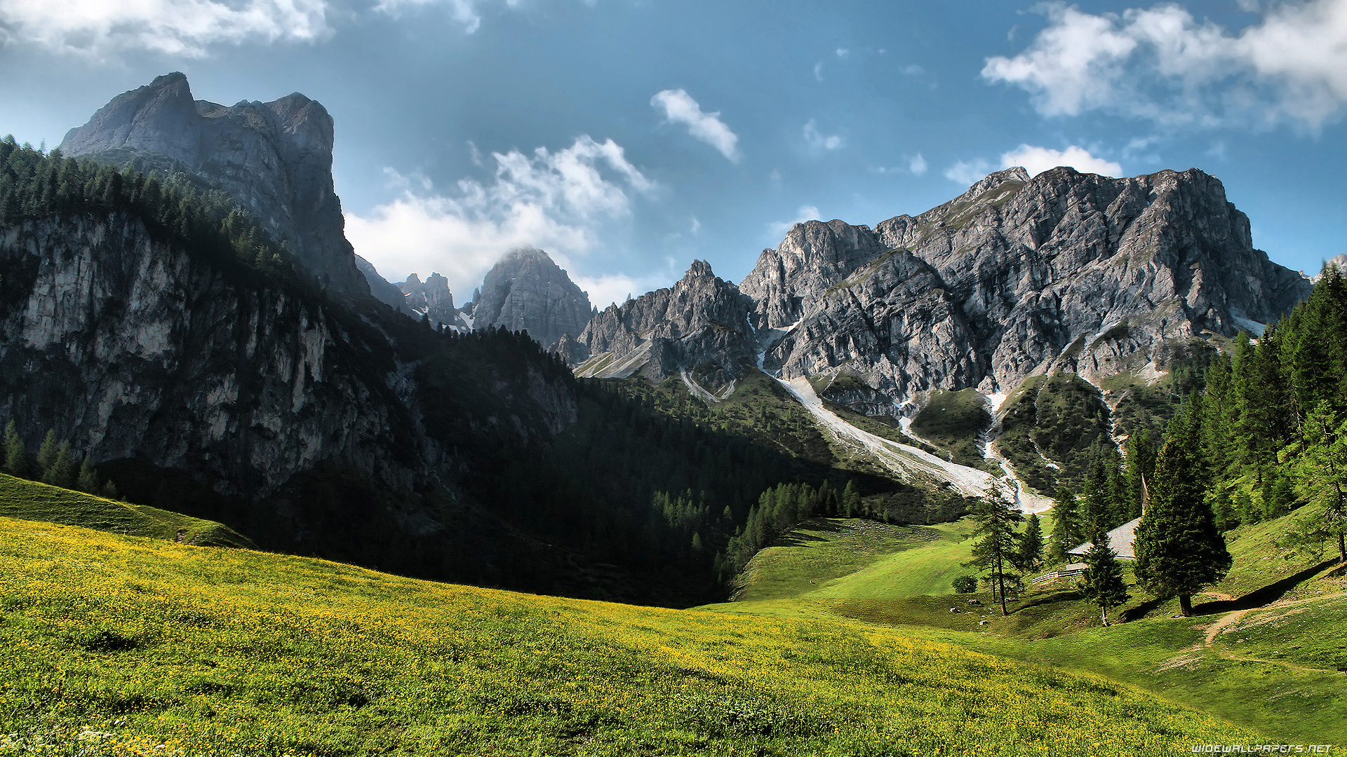 Beautiful Mountain Meadow wallpapers HD