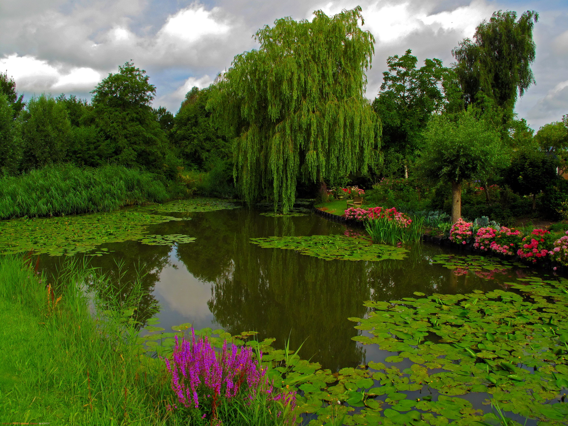 Why our pond cleaning process is environmentally friendly