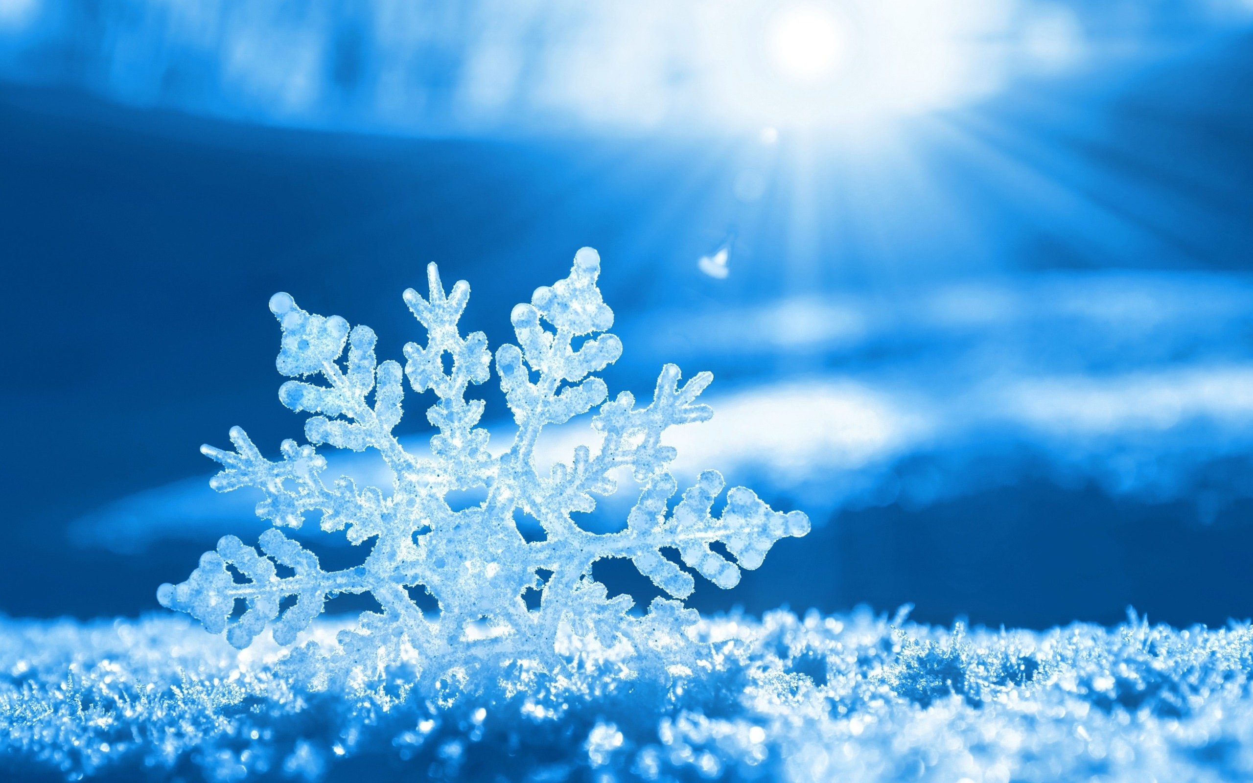 Beautiful Snowflake Background Wallpaper 2560x1600 33241