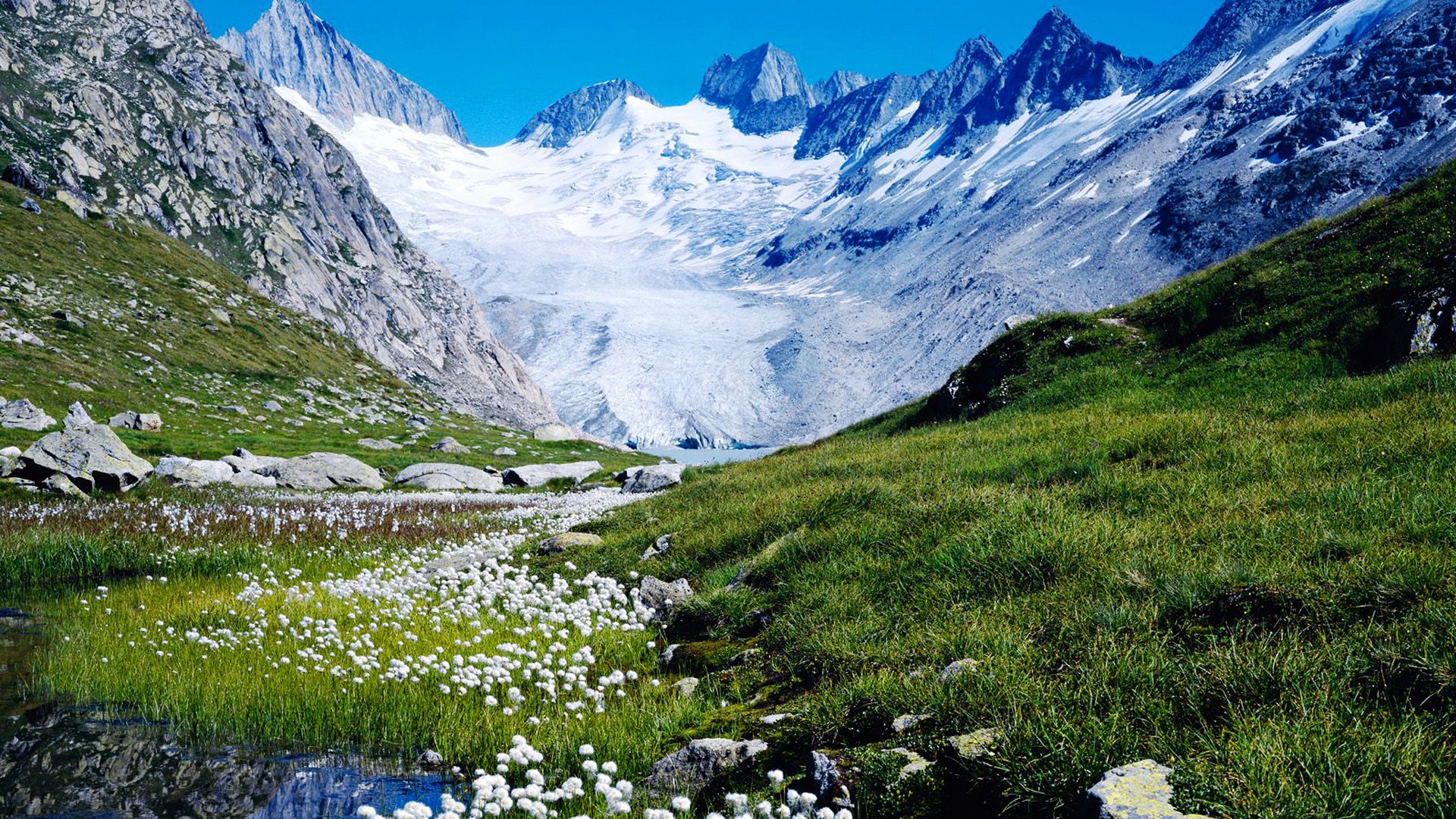 Beautiful Nature in Switzerland Wallpapers