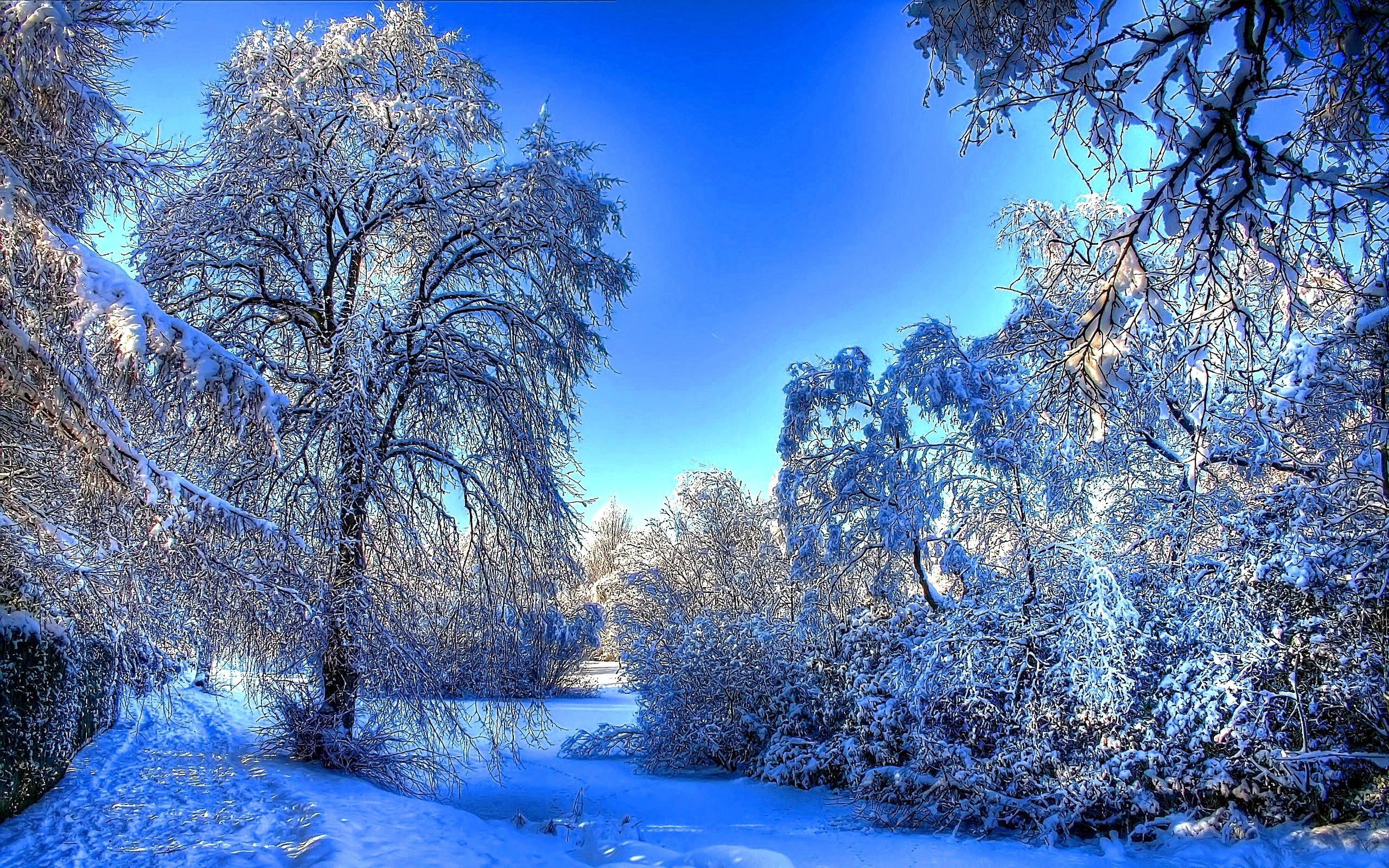 Beautiful Winter Snow Wallpaper