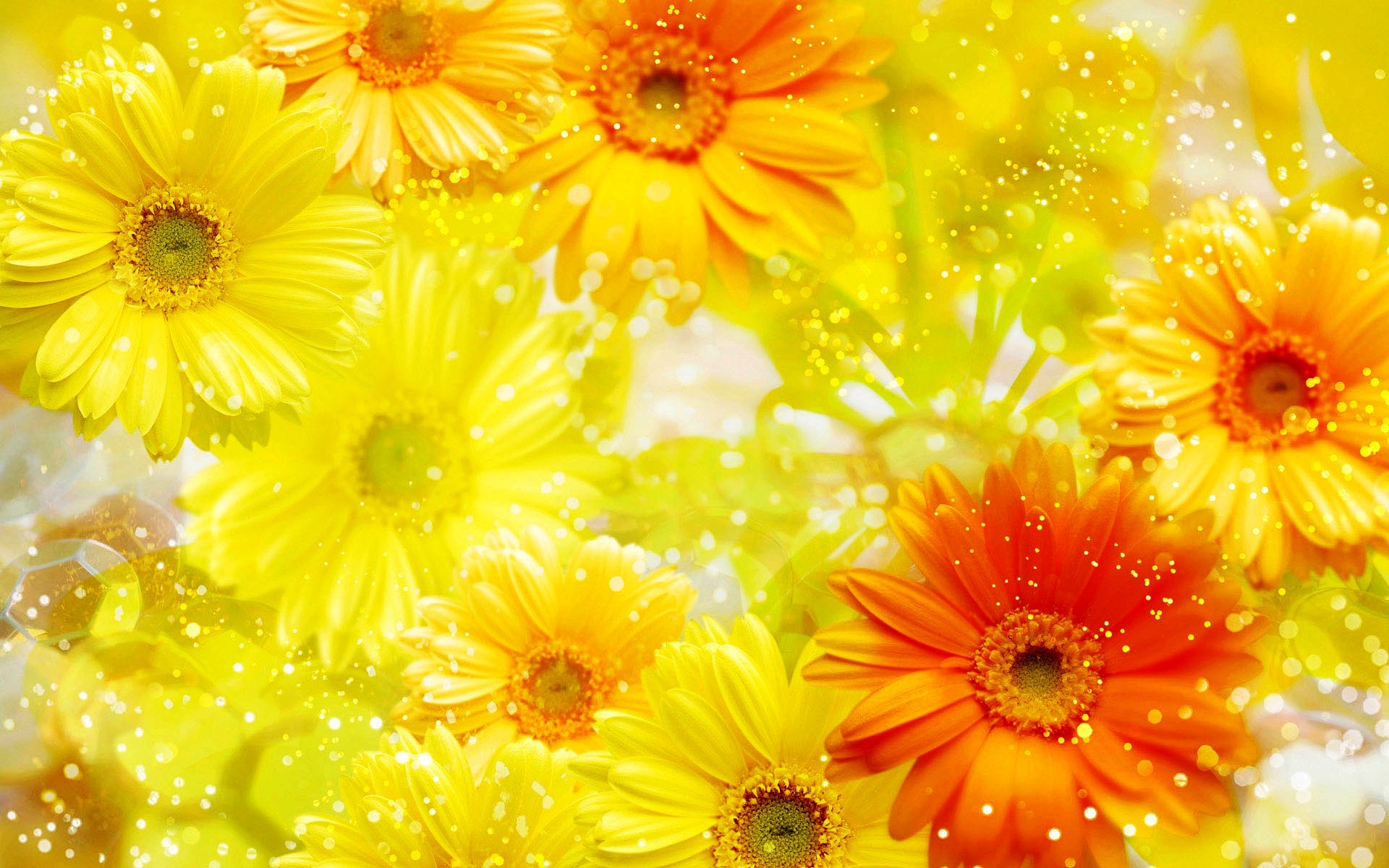Download the following Yellow Flowers Wallpaper 2437 by clicking the button positioned underneath the "Download Wallpaper" section.