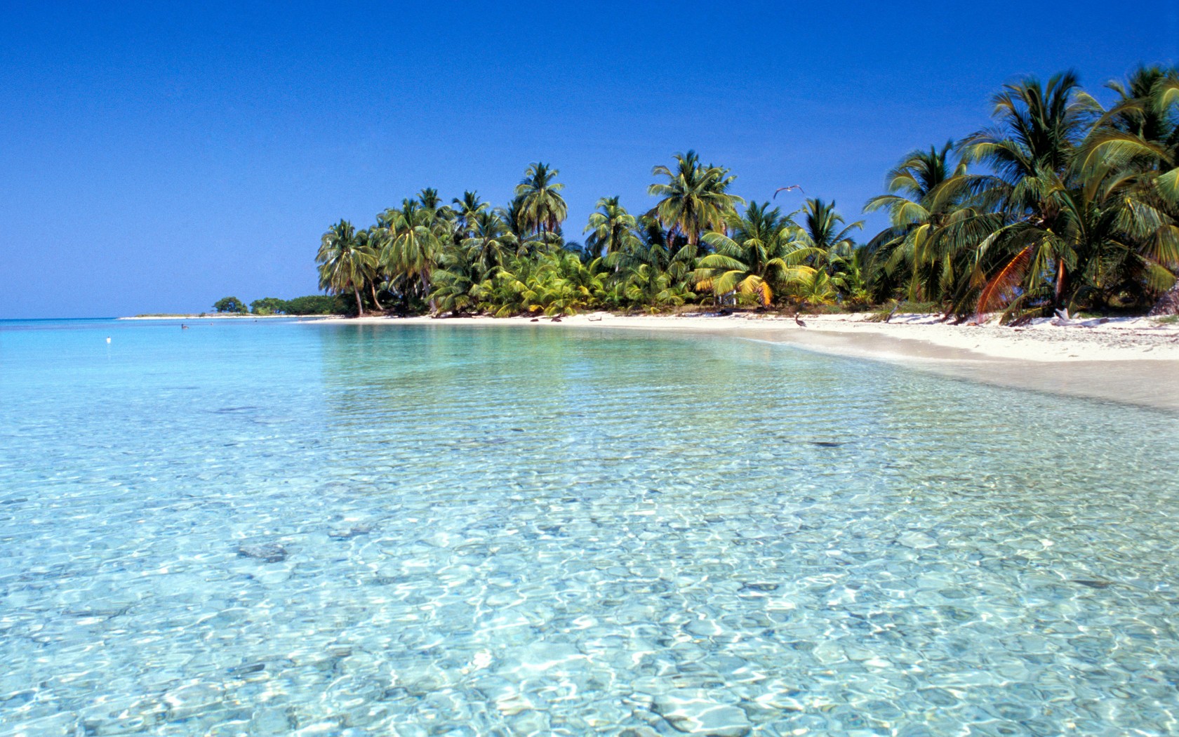Relax on Belize's most beautiful, white-sand beaches or head out to sea for ...