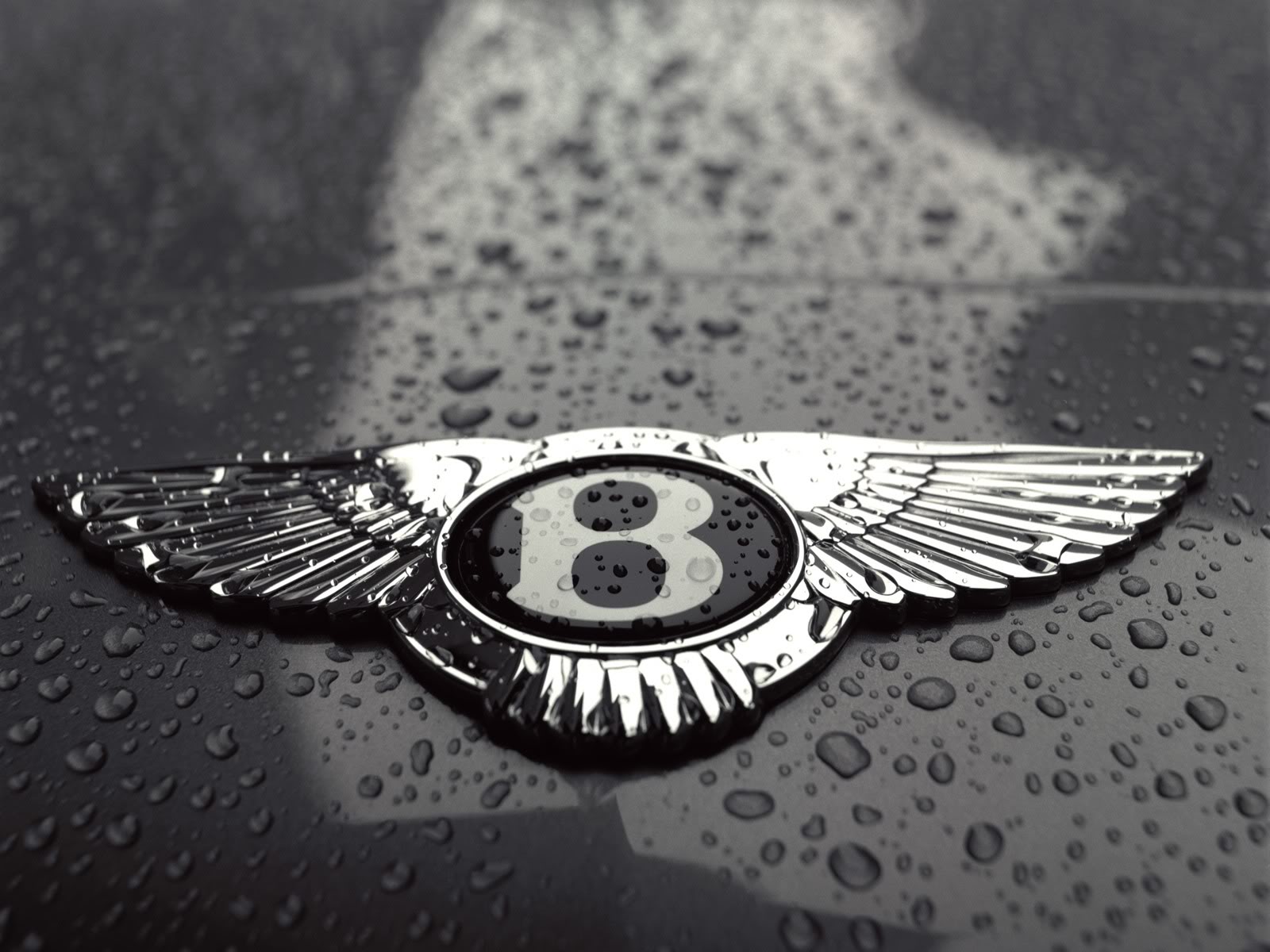 Bentley Logo Wallpaper 13