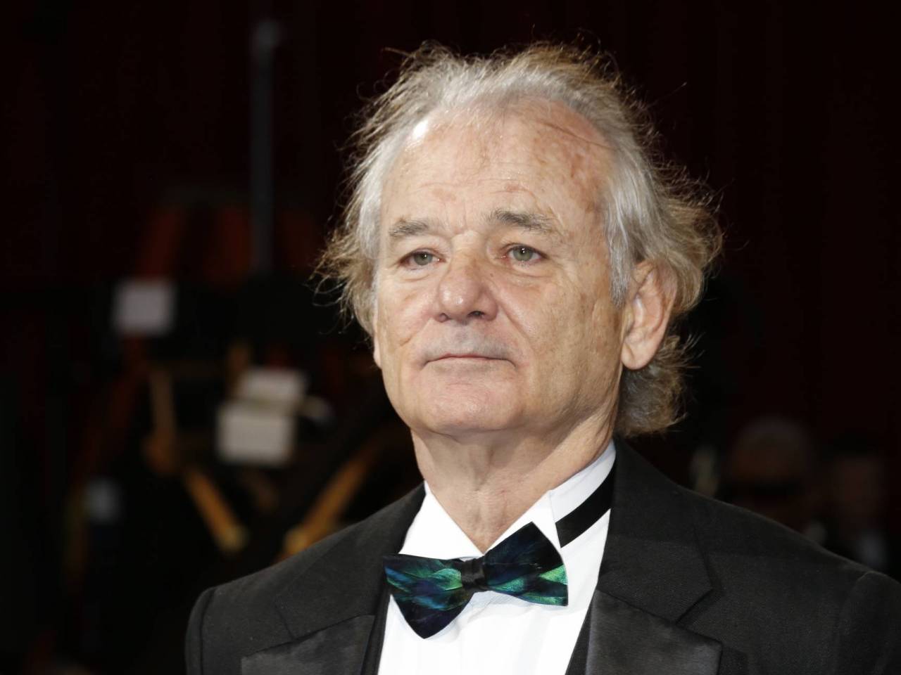 Bill Murray crashed some guy's bachelor party and gave a speech