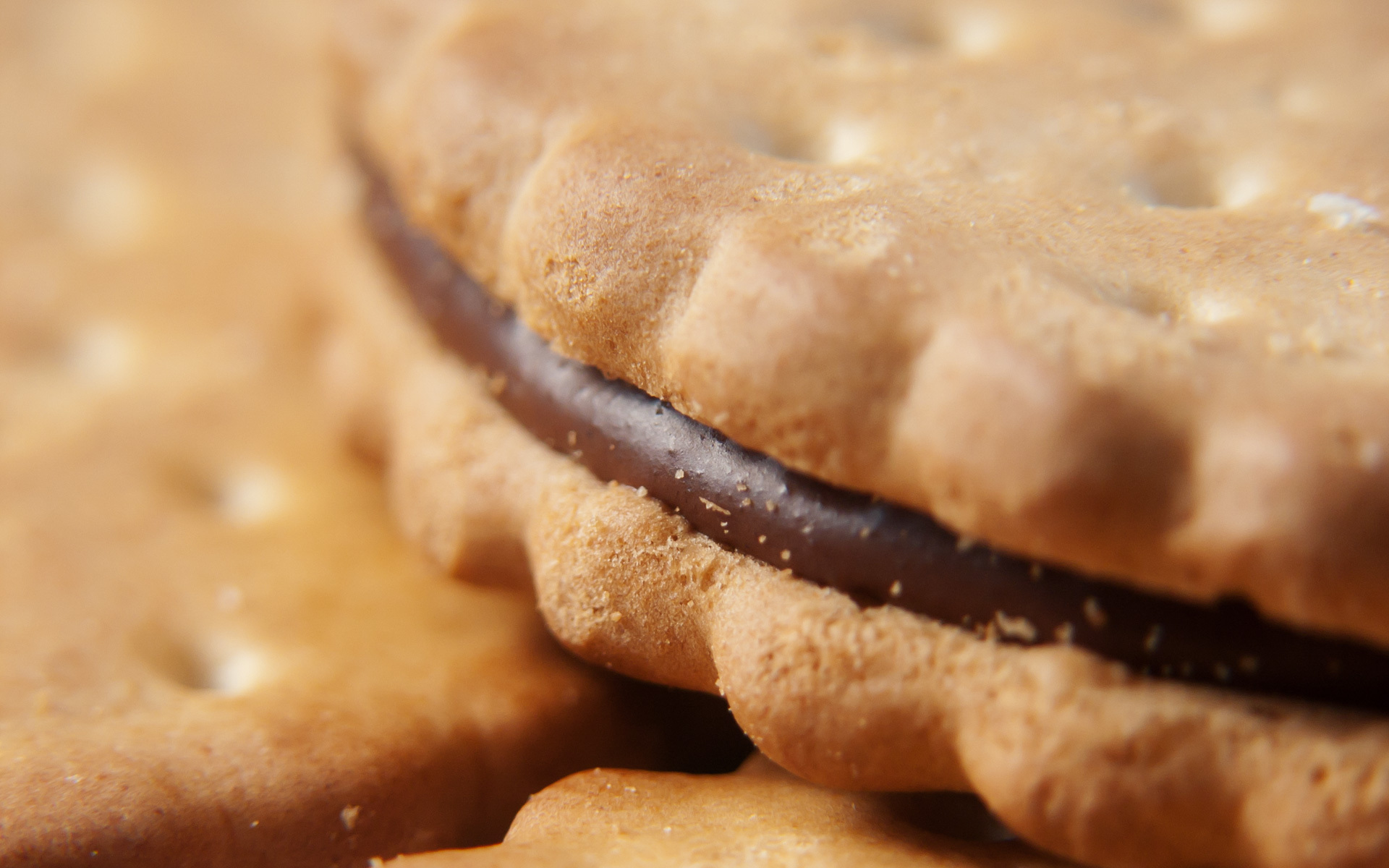 Free Biscuit Wallpaper 40109 1680x1050 px
