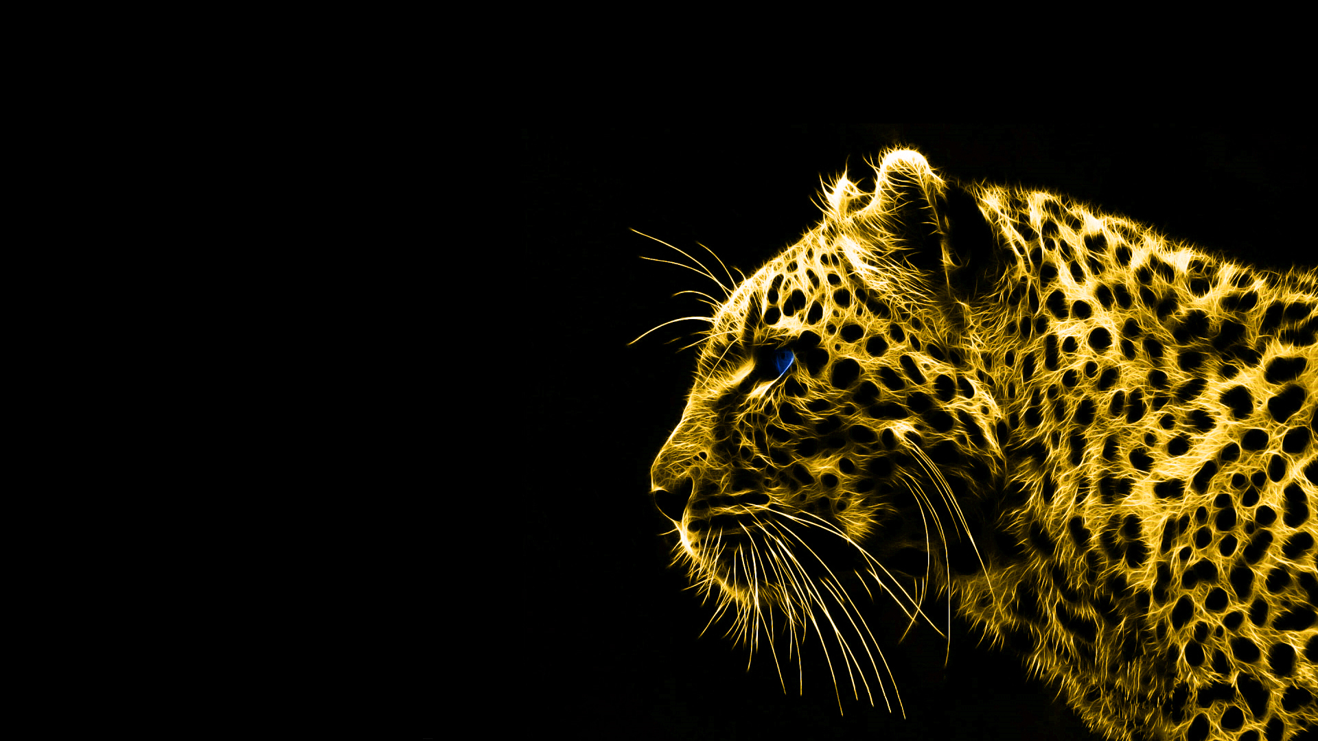 ... black-and-gold-hd-wallpapers ...