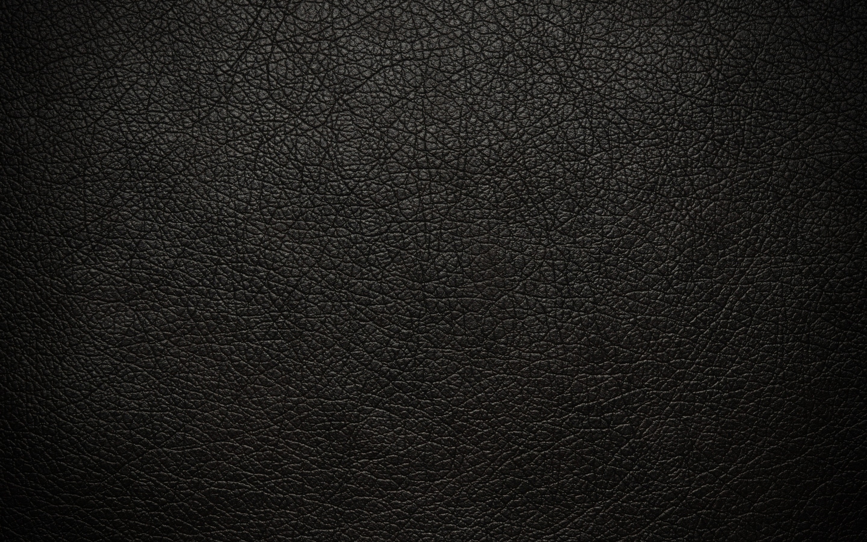 Free Leather Wallpaper 22544 1920x1200 px