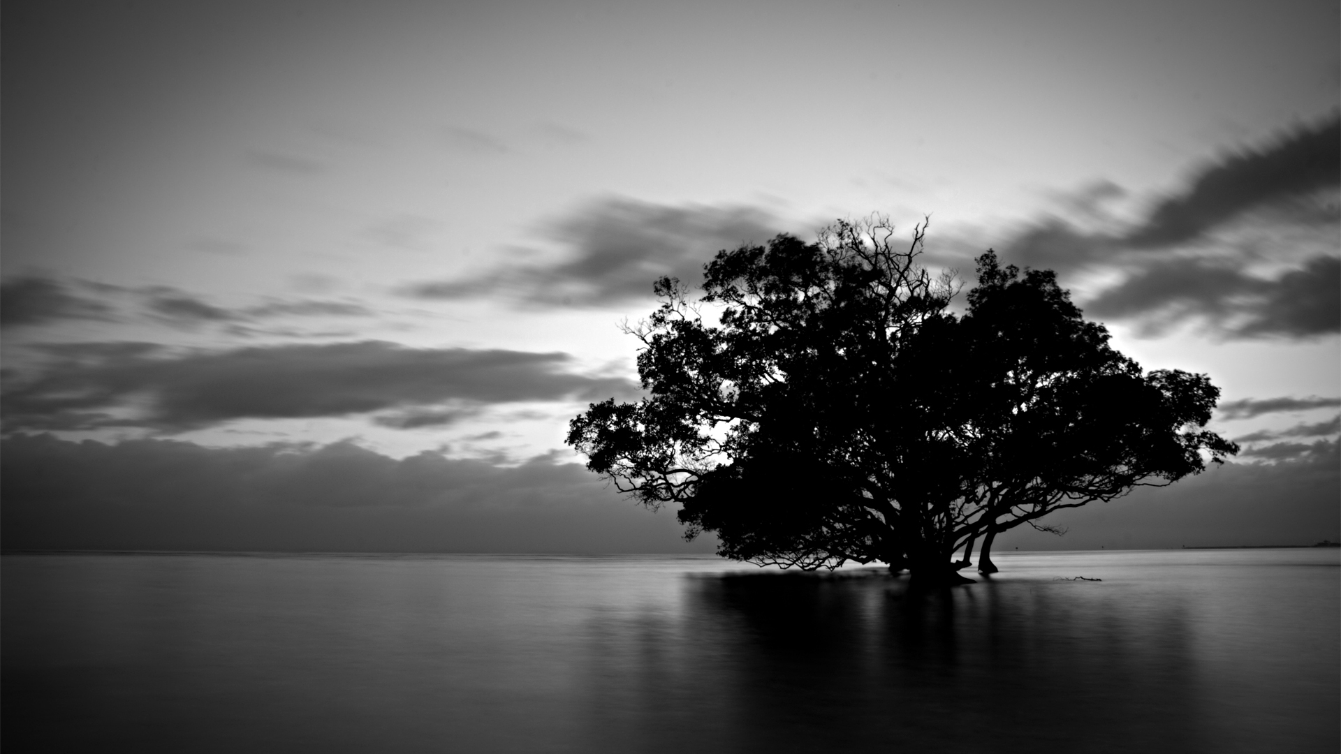Black And White Nature Photography Widescreen 2 HD Wallpapers