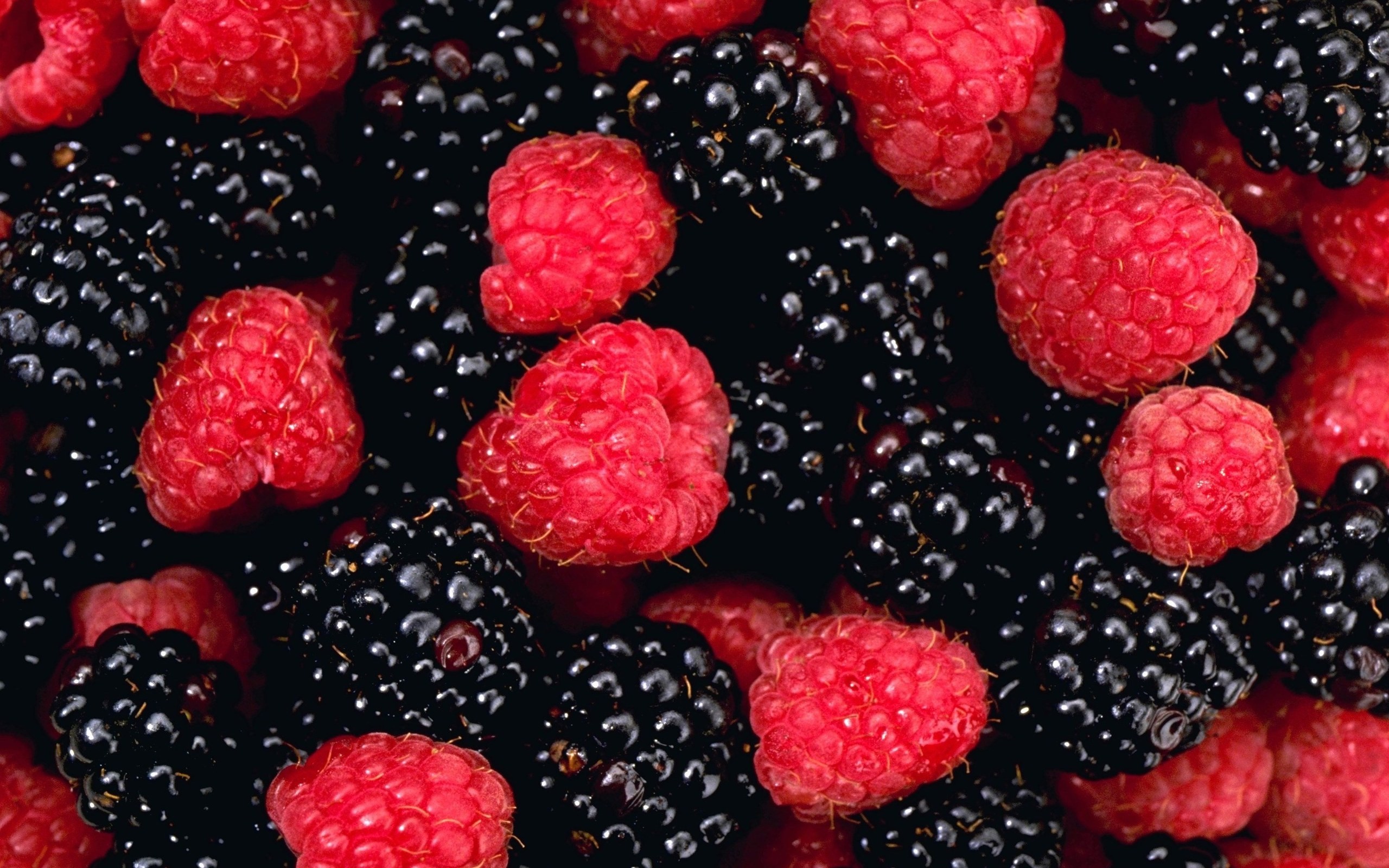 Blackberries HD Wallpapers