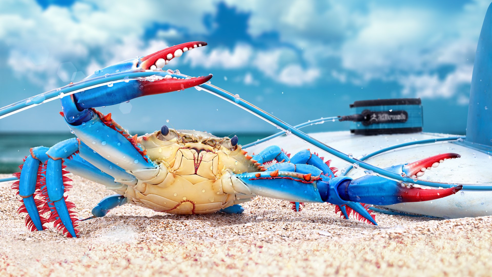 Blue Crab Beach Sand wallpaper | 1920x1080 | #9074