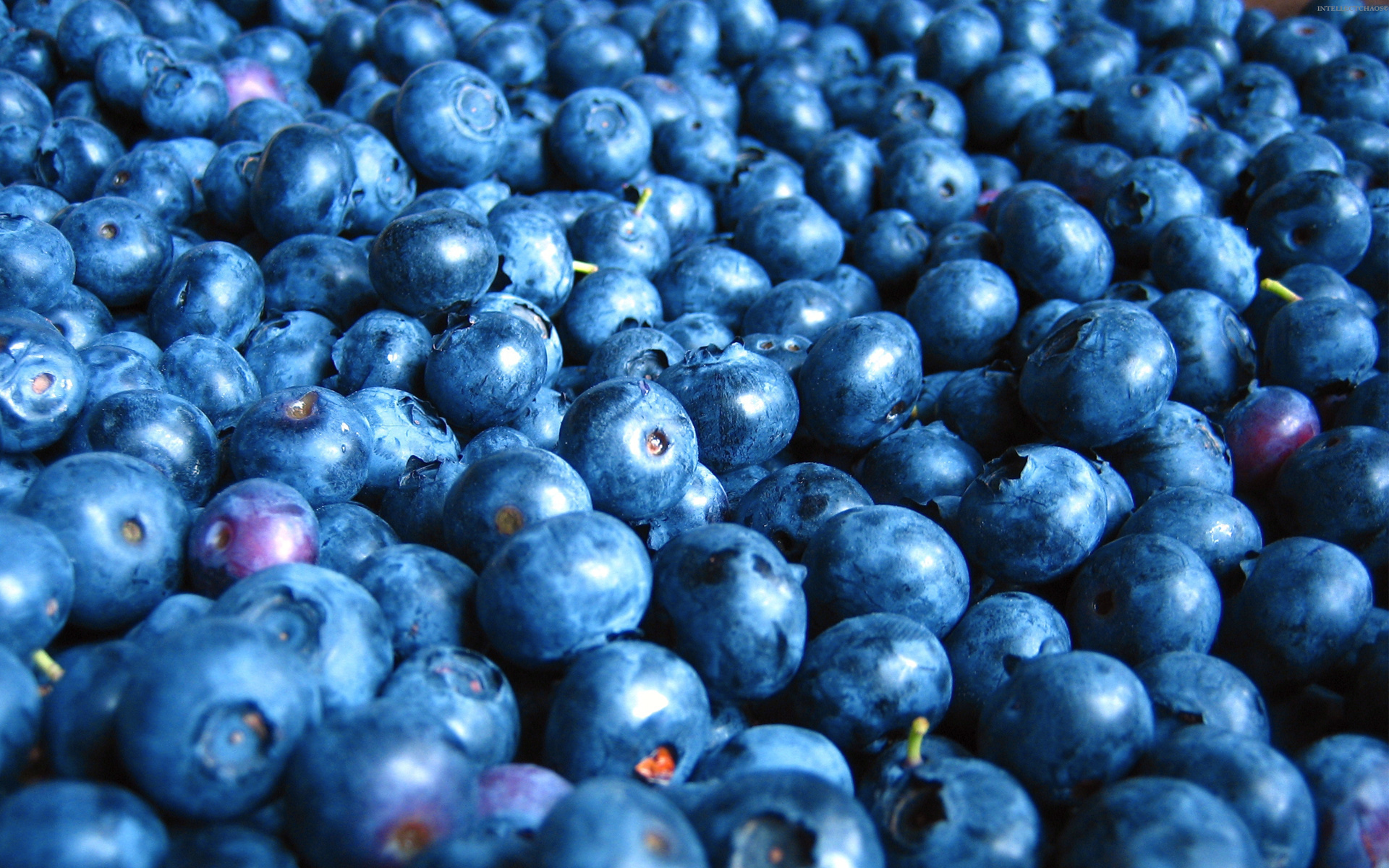 Blueberry Backgrounds