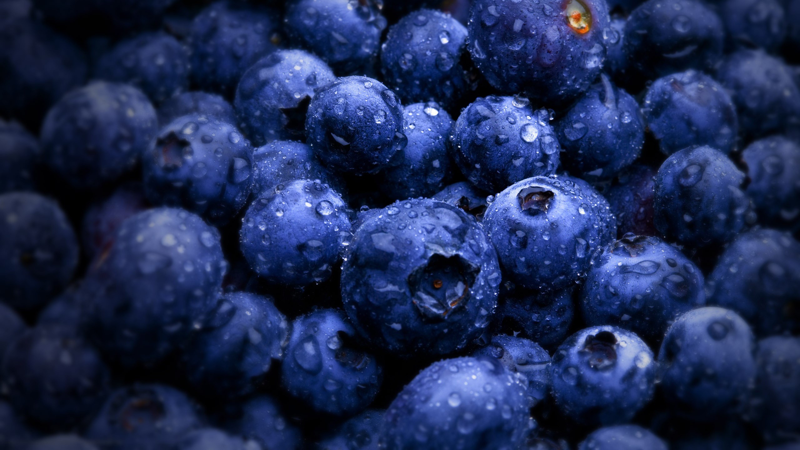 Amazing Blueberry Wallpaper ...