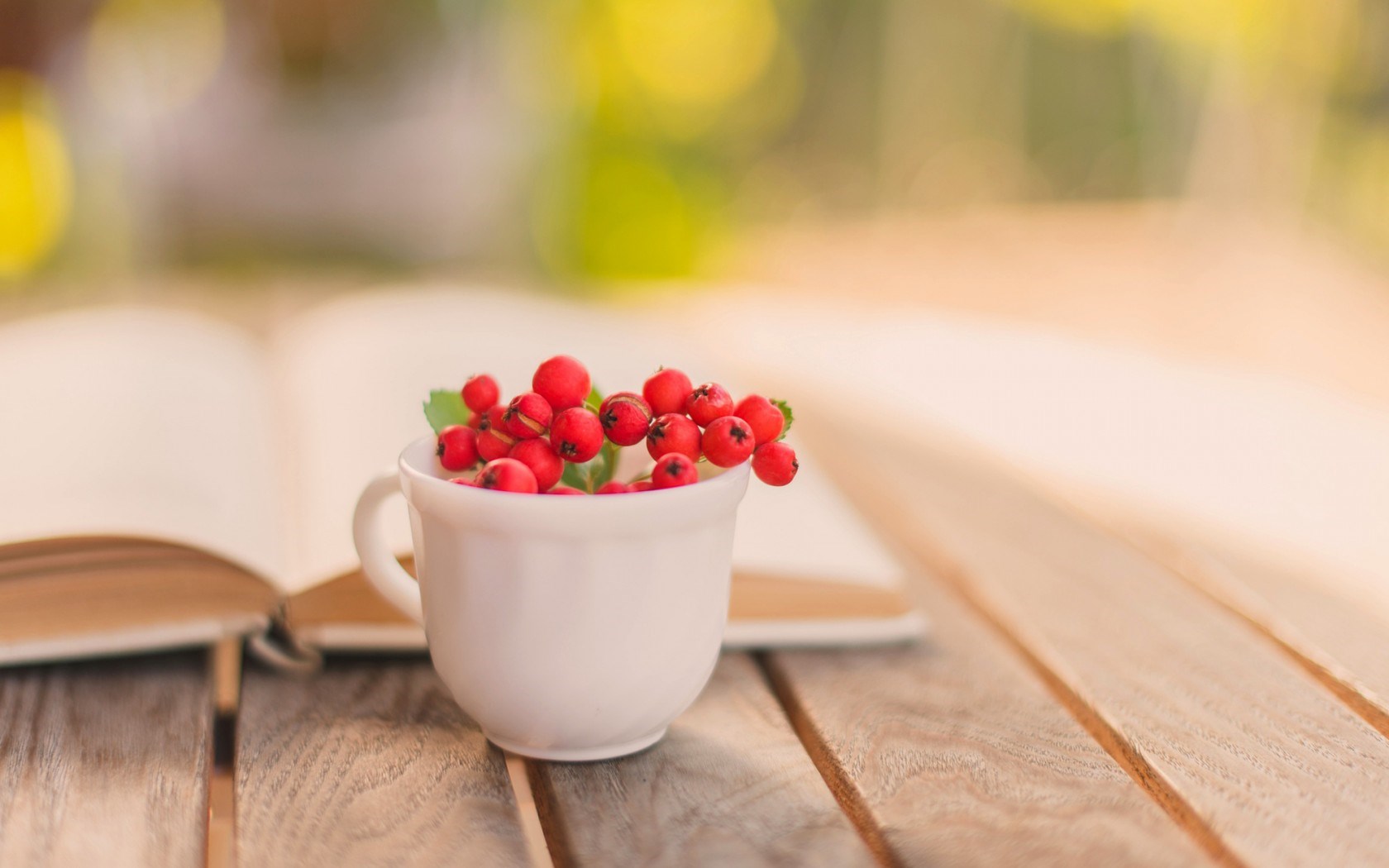 Book Cup Mug Berry Red Autumn