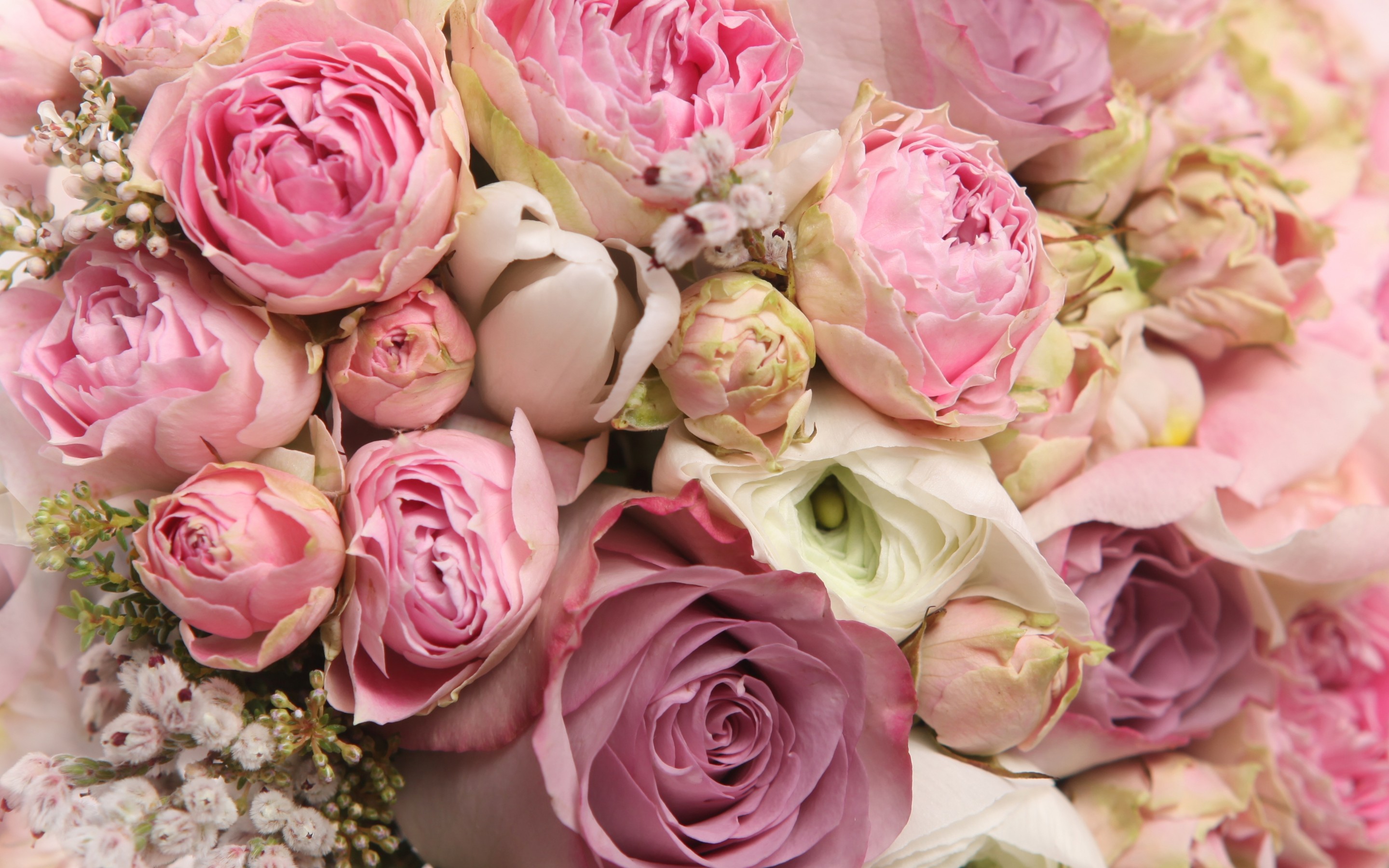 Bouquet roses romantic