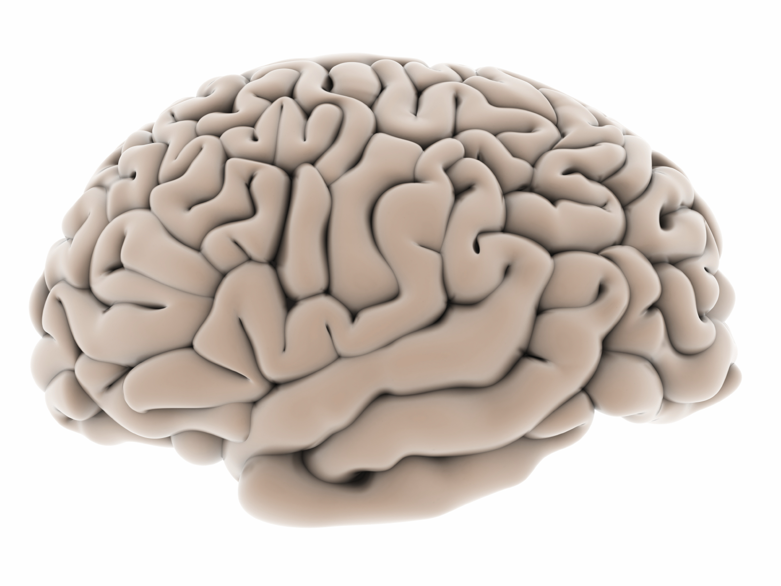 "The New Art and Science Behind Enhanced Brain Performance" (Encore presentation.) | Public Radio Tulsa