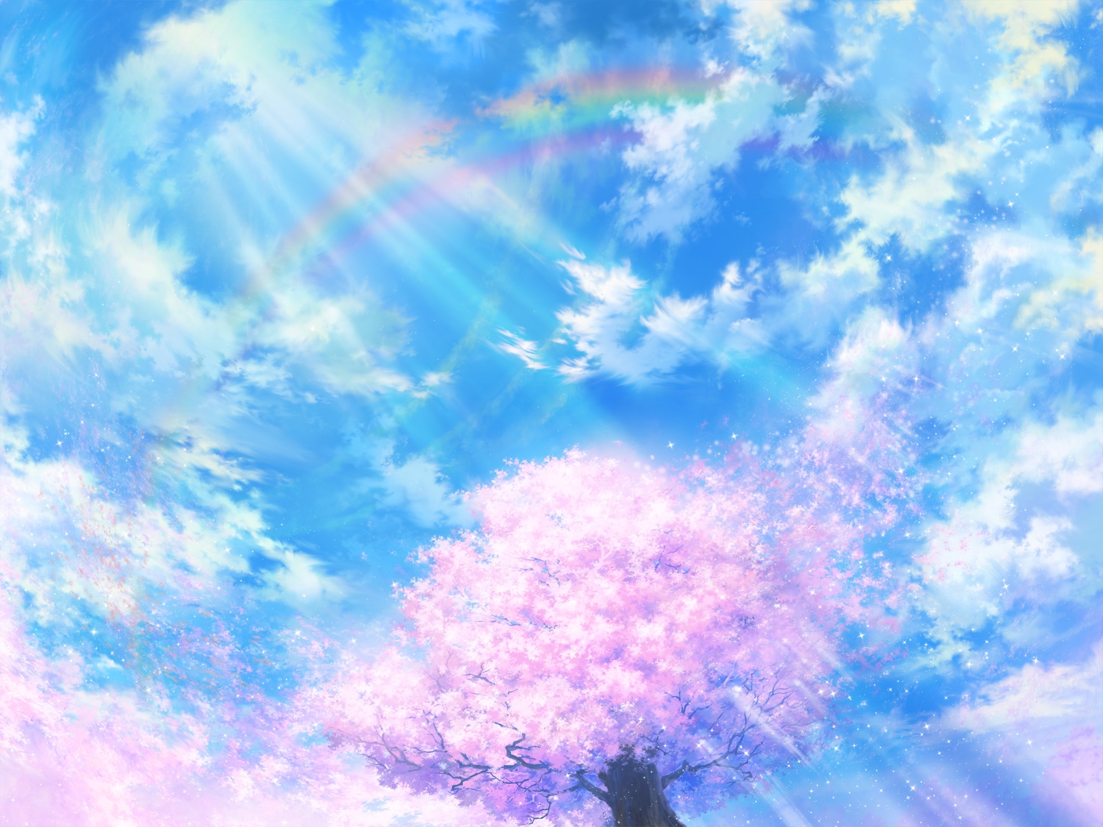 1600x1200 Wallpaper light, cherry, tree, sky, bright
