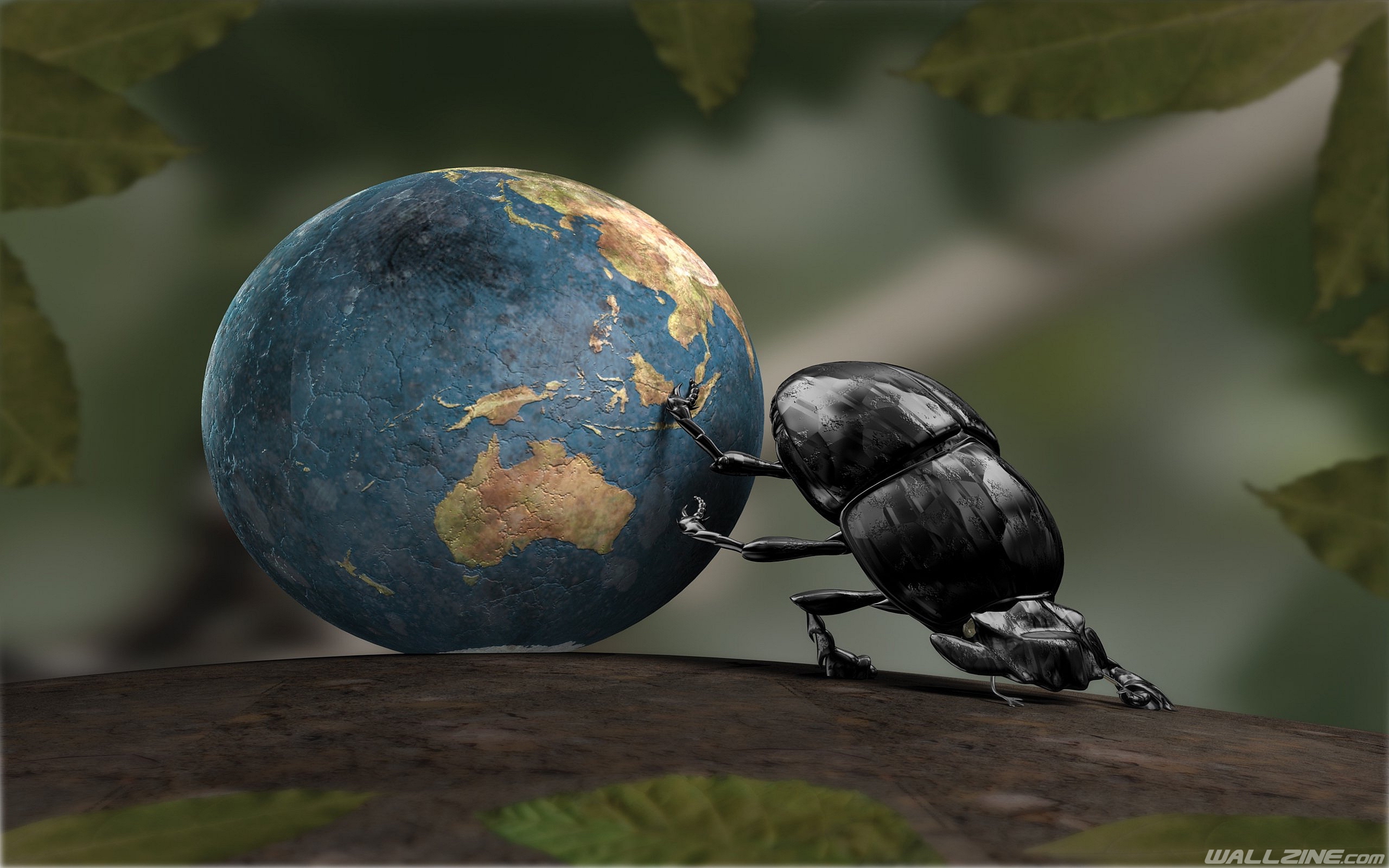 Bug rolls World