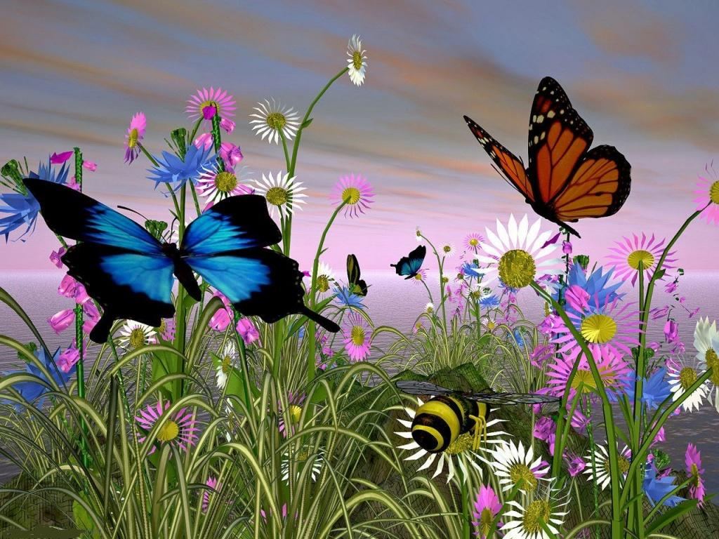 Advertisements. Wallpaper : nature with butterfly ...