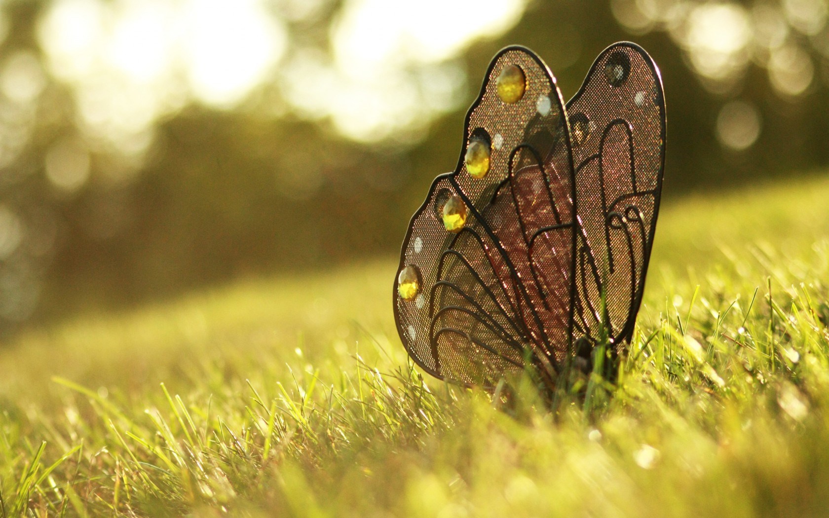 Butterfly Decoration Grass