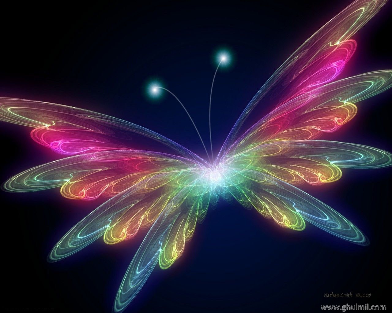 Butterflies 3D Butterfly wallpaper