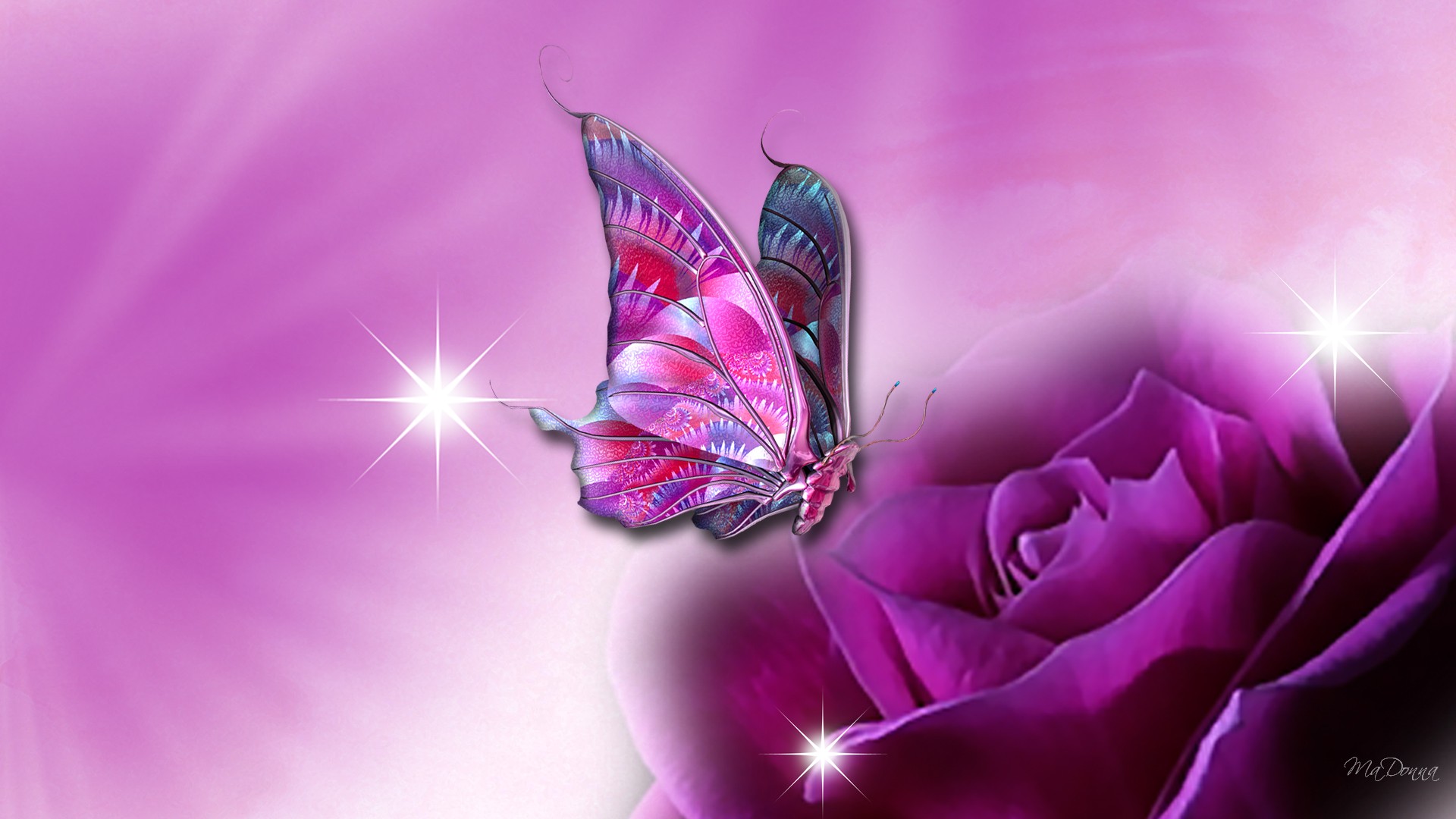 Butterfly Wallpaper