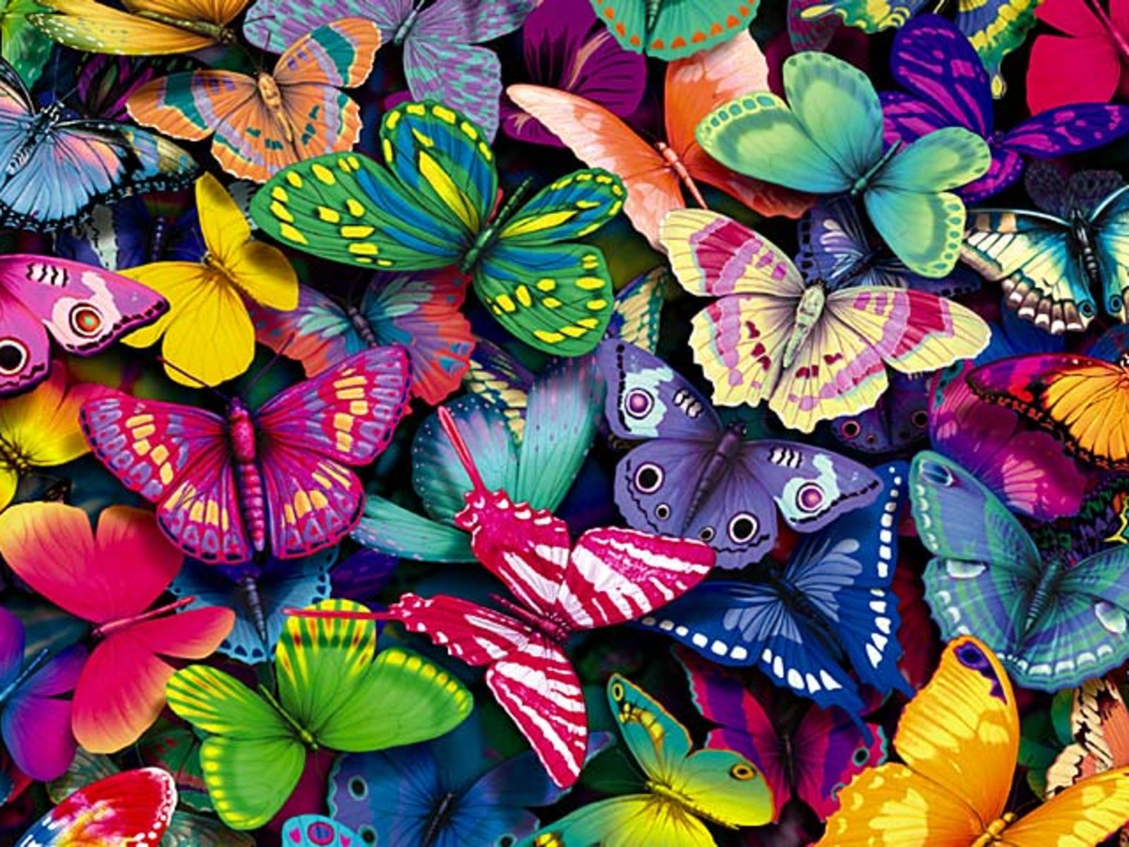... hd-butterfly-wallpaper
