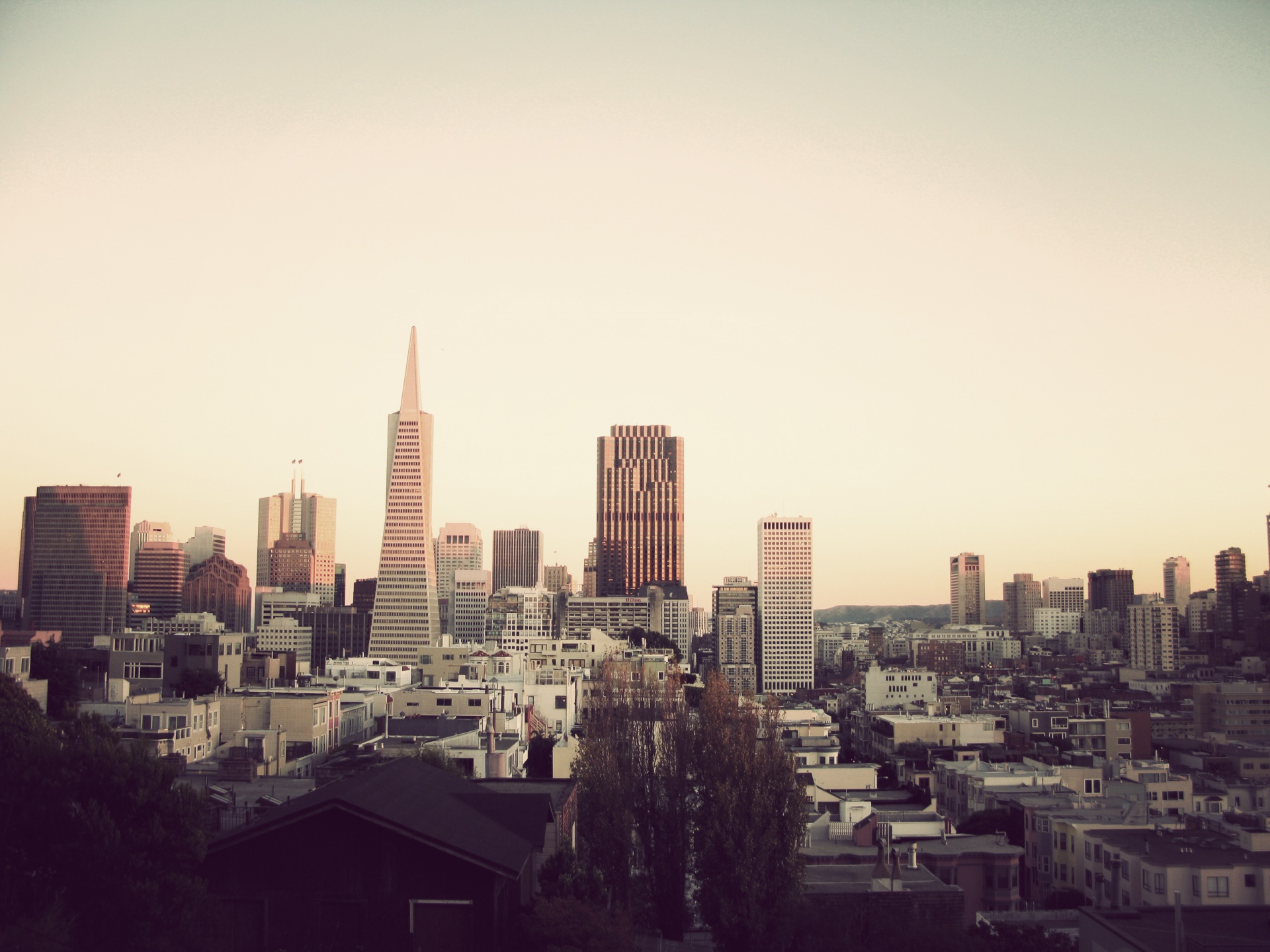 San Francisco Cityscape Picture