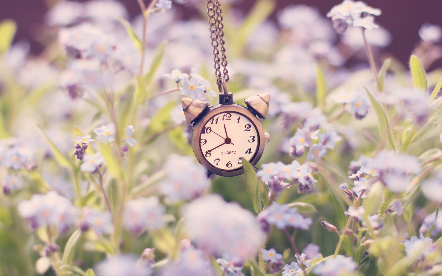Clock Alarm Chain Flowers Nature