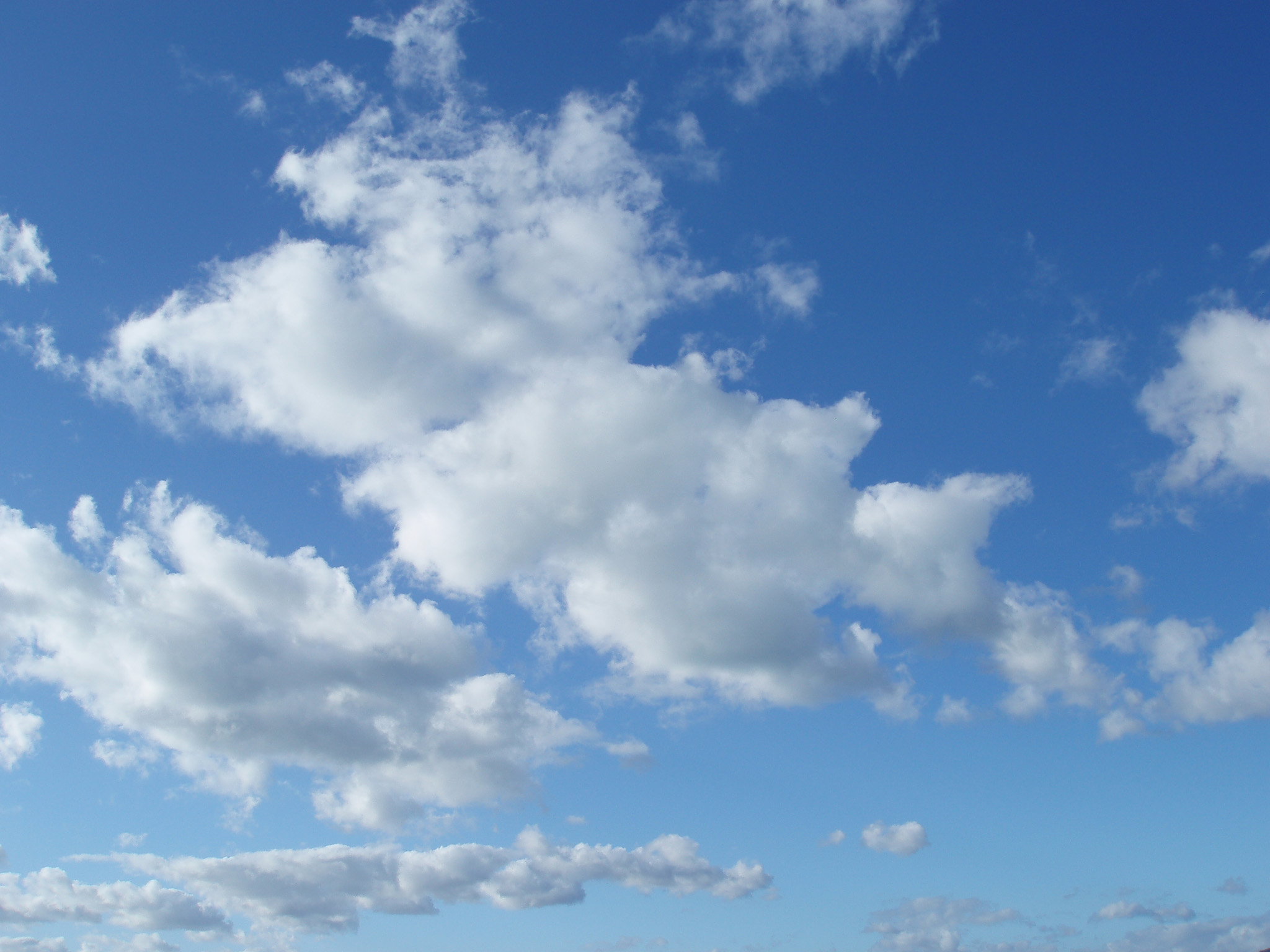 These days, “the cloud” and “cloud computing” are among the most widely used business buzzwords. There are still many who are a little unclear about what ...