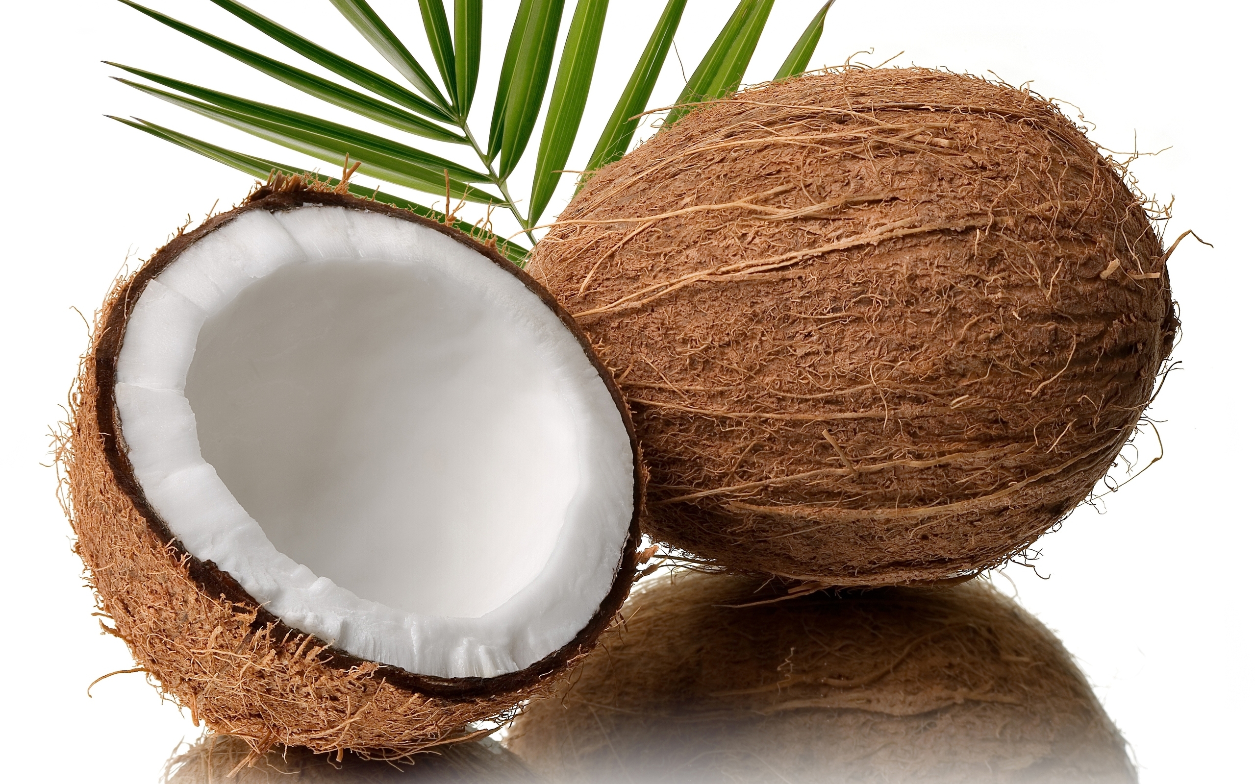 Coconut fruit
