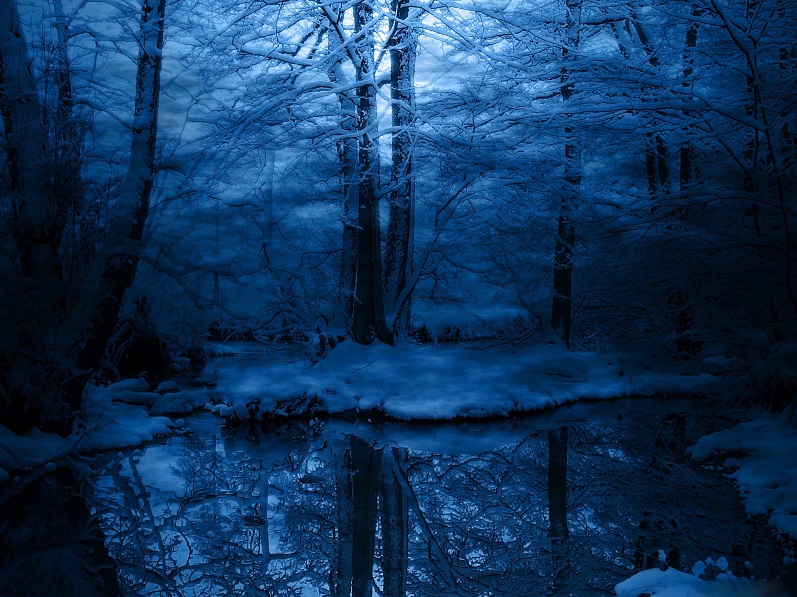 Wallpaper Winter Trees Snow Blue Frost Cold Wallpapers Nature