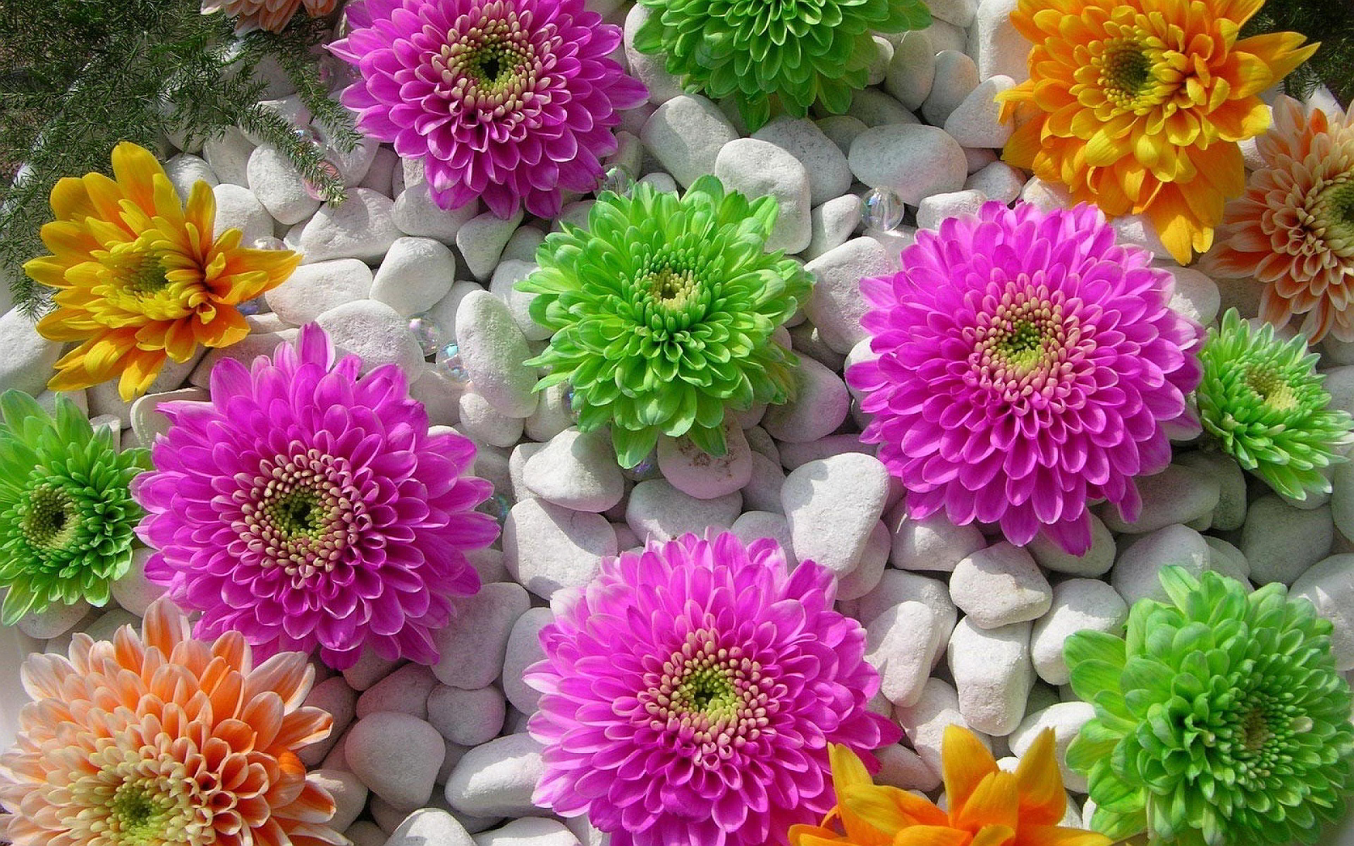 Colored Flowers Stones