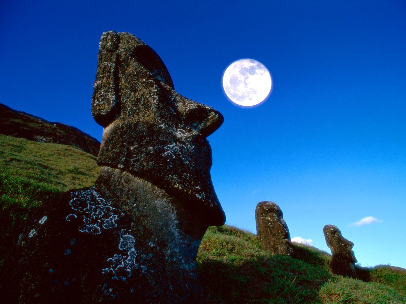 Cool Easter Island Pictures