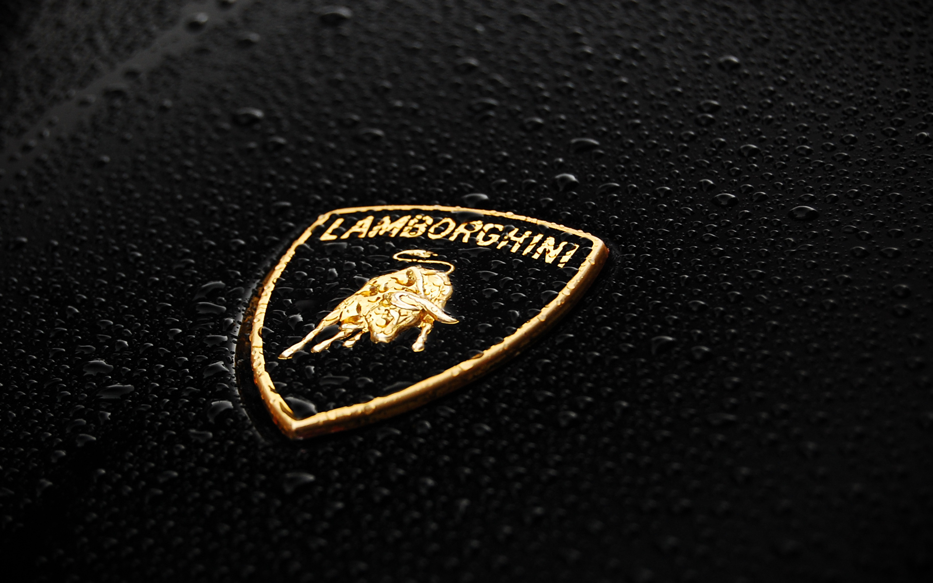 Cool Lamborghini Logo Wallpaper