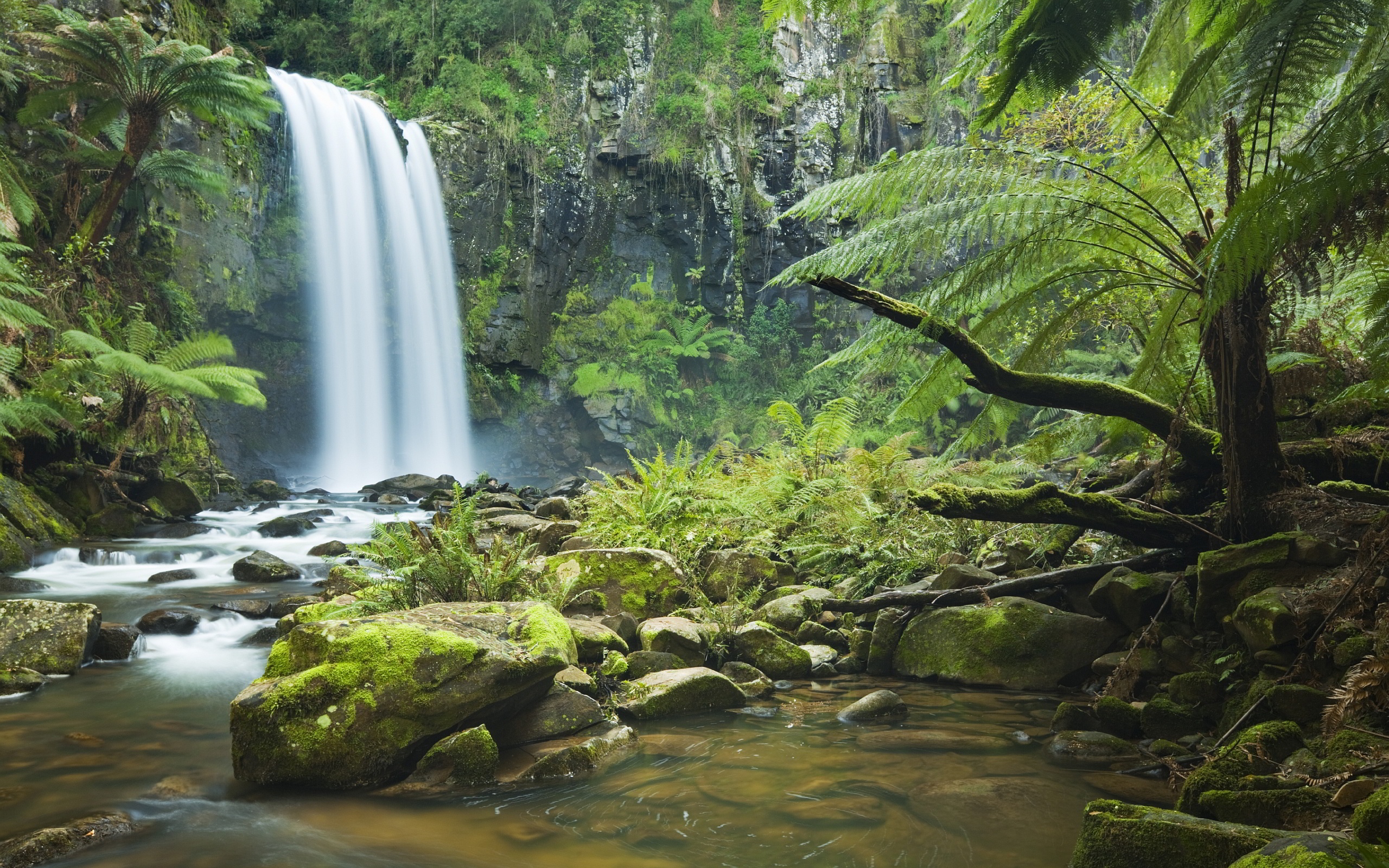 Rainforest Waterfall wallpaper