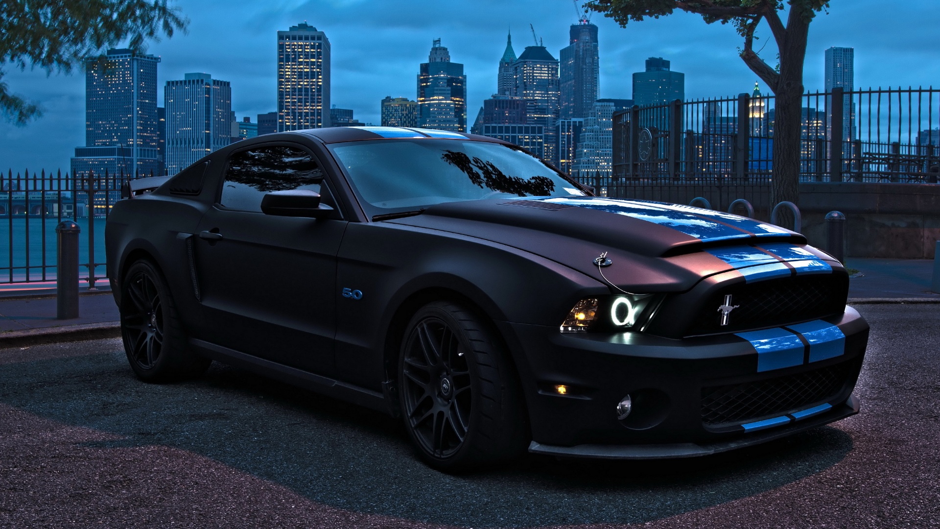 Cool Shelby GT500 Pictures