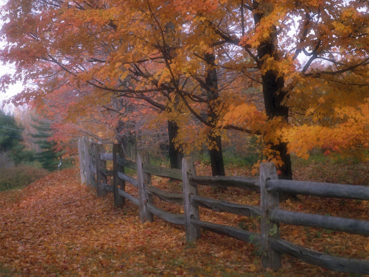 Country Fence Wallpapers 13636