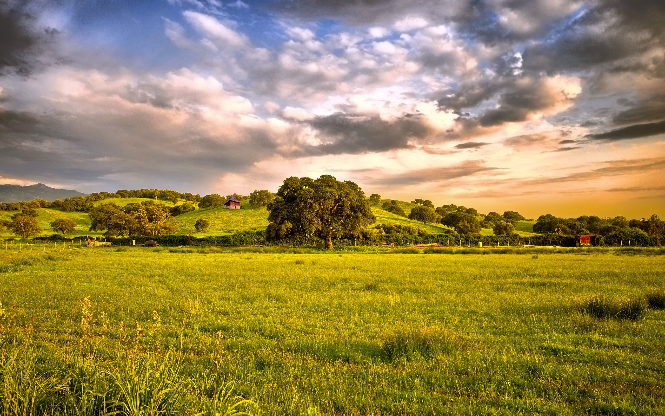 Clouds Landscapes Wallpaper 2560x1600 Clouds, Landscapes, Trees, HDR, Photography, Countryside