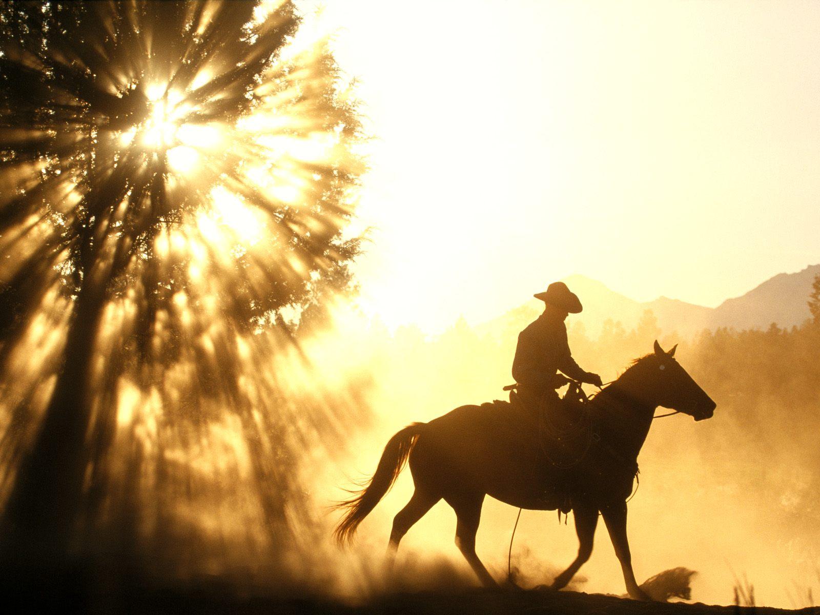 Cowboy Horse Sunset Free Desktop Wallpaper