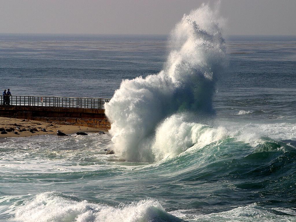 waves crashing seals la jolla