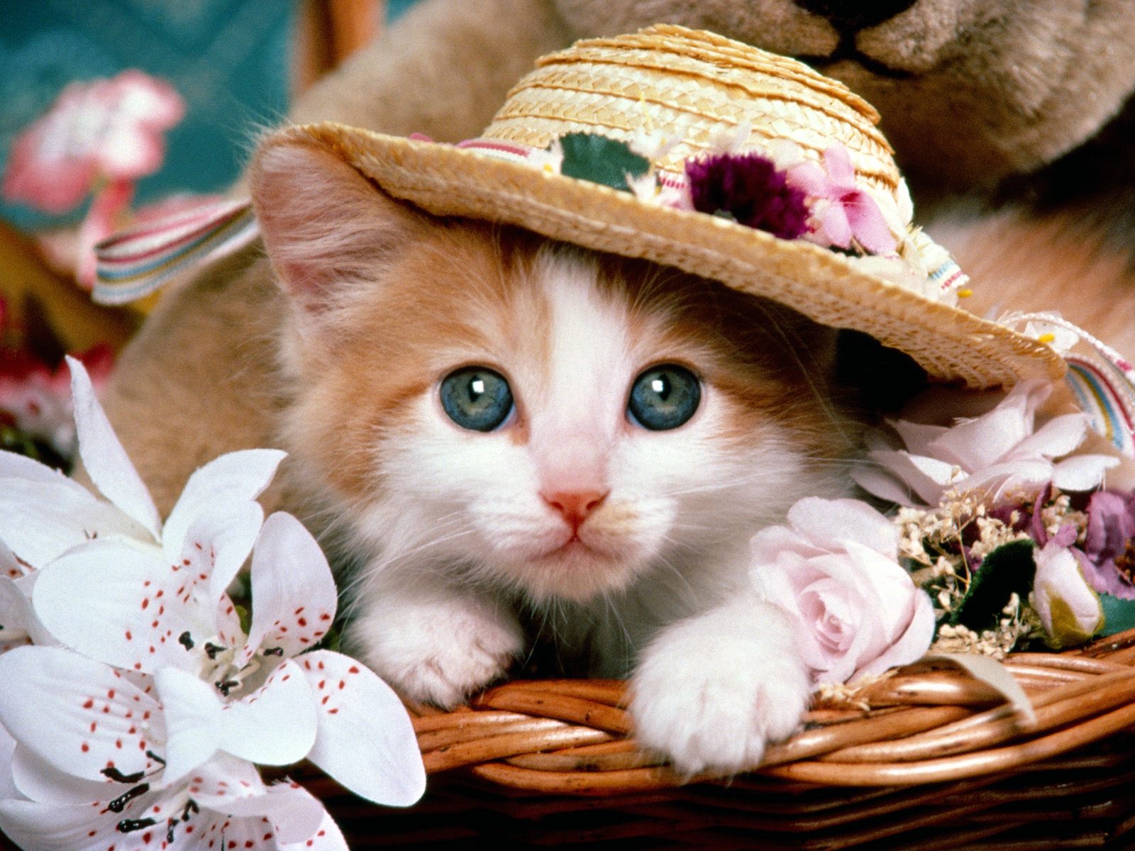 Cute Cat Basket