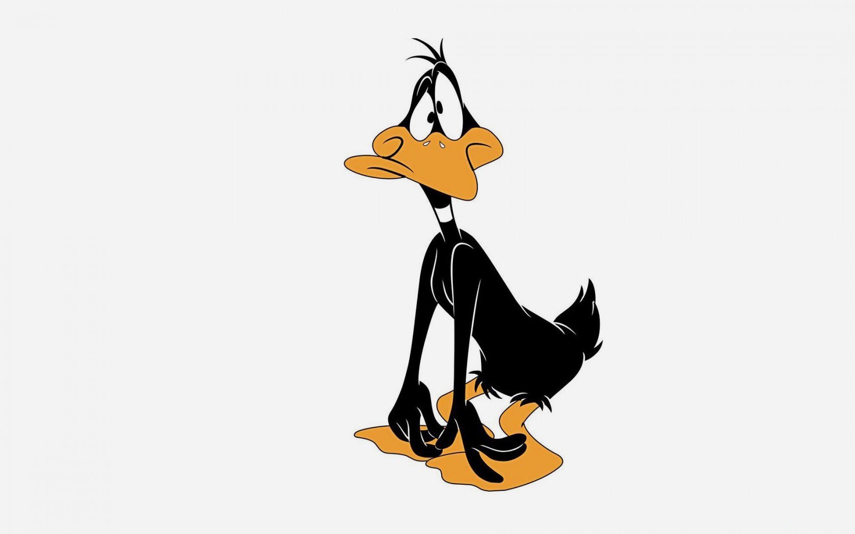 Funny Cartoon Daffy Duck