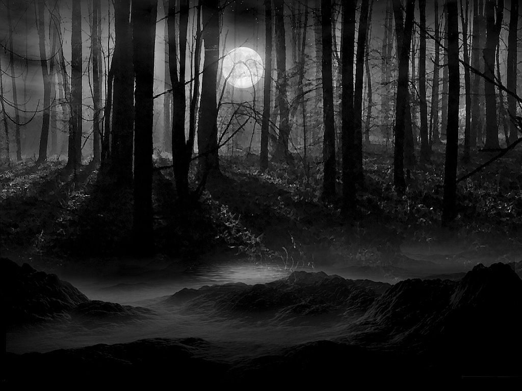 File:Dark Forest.jpg