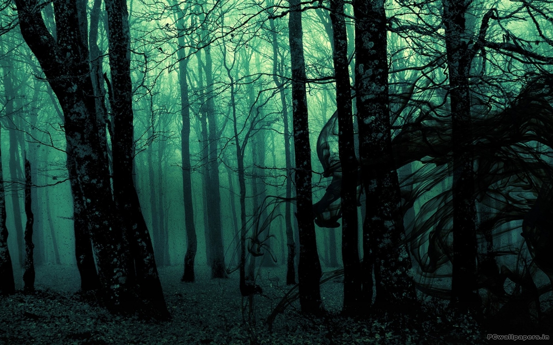 Dark Forest (17)