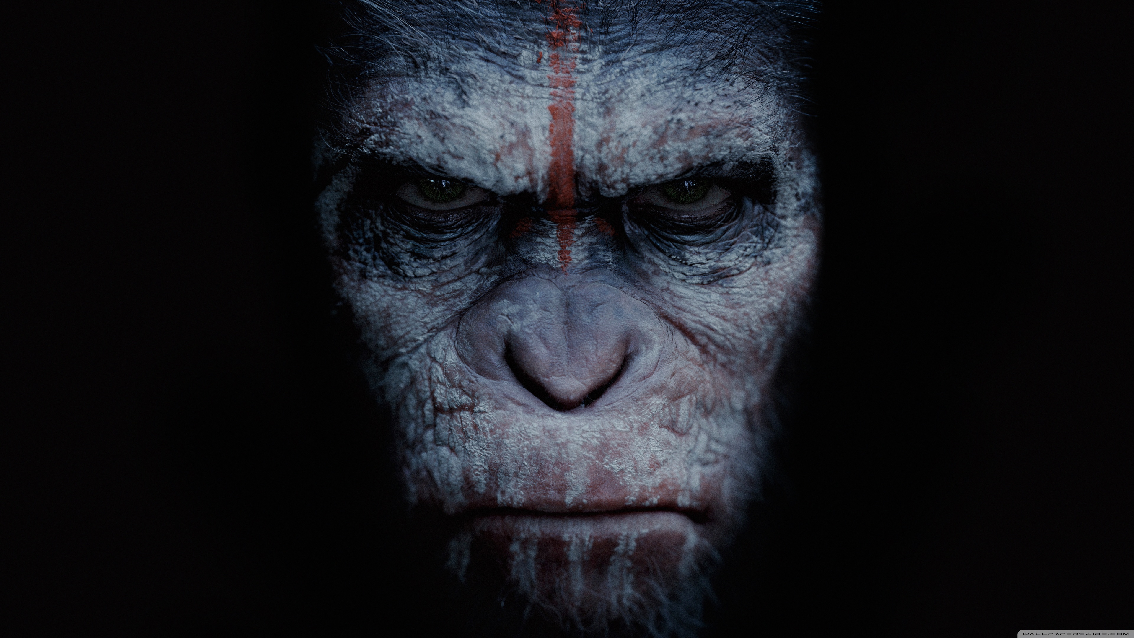 Dawn of the Planet of the Apes Wallpaper