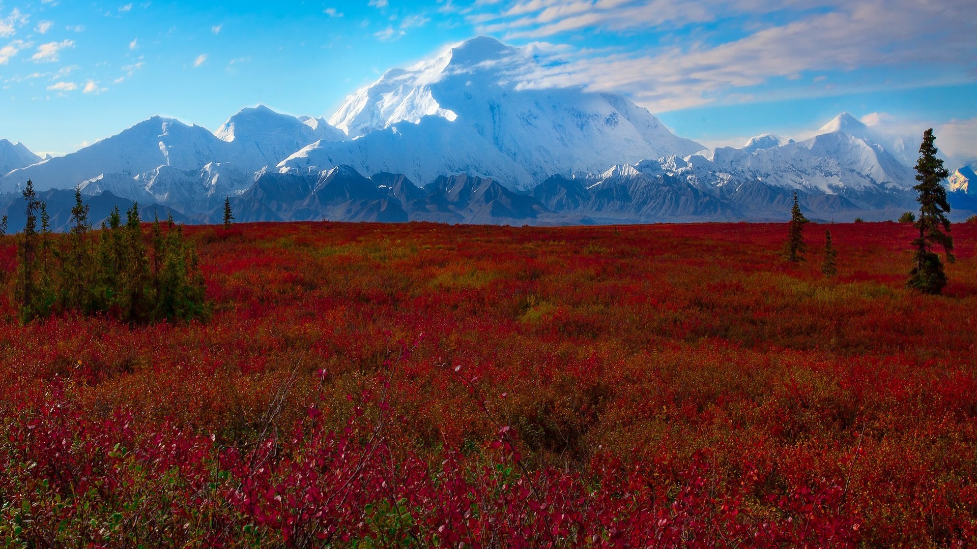 Beautiful Denali National Park In The Fall. Photo Author Unknown