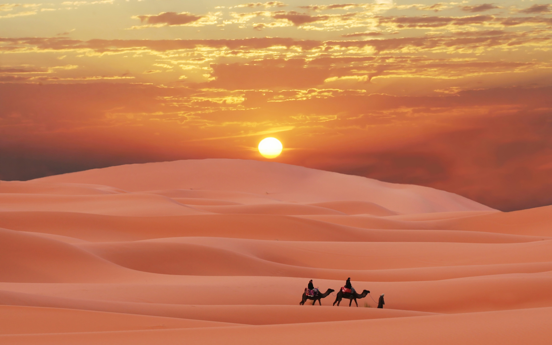Desert evening sun