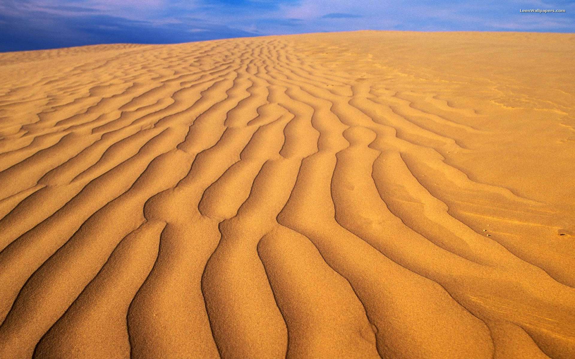 Desert Sand Background wallpaper | 1920x1200 | #7934